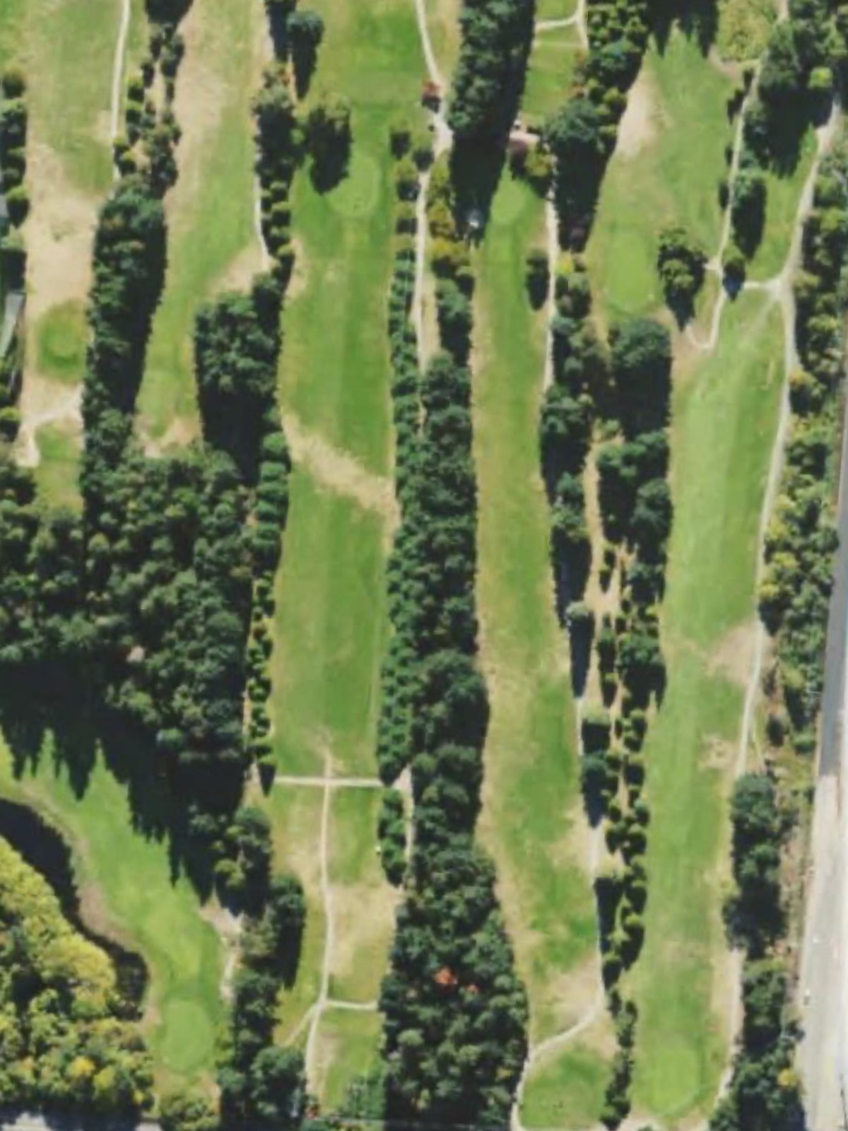 Hole 15 satellite