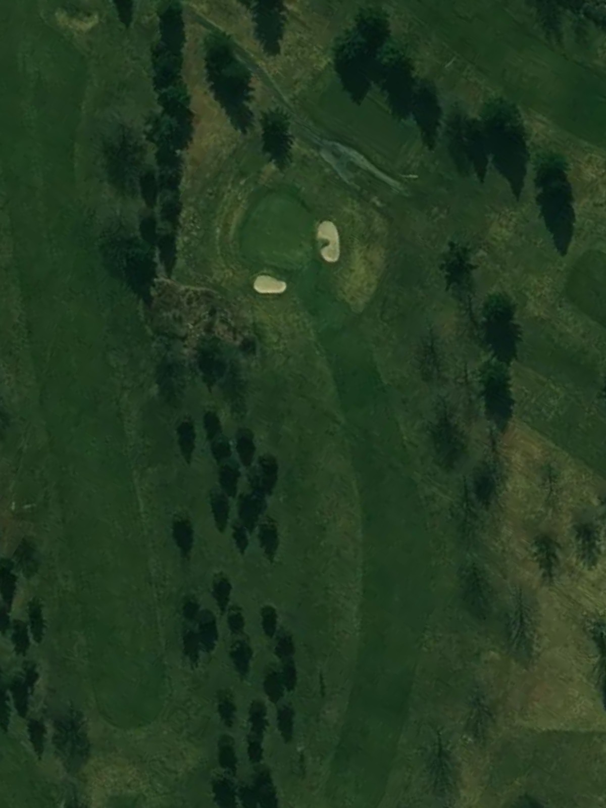 Hole 1 satellite