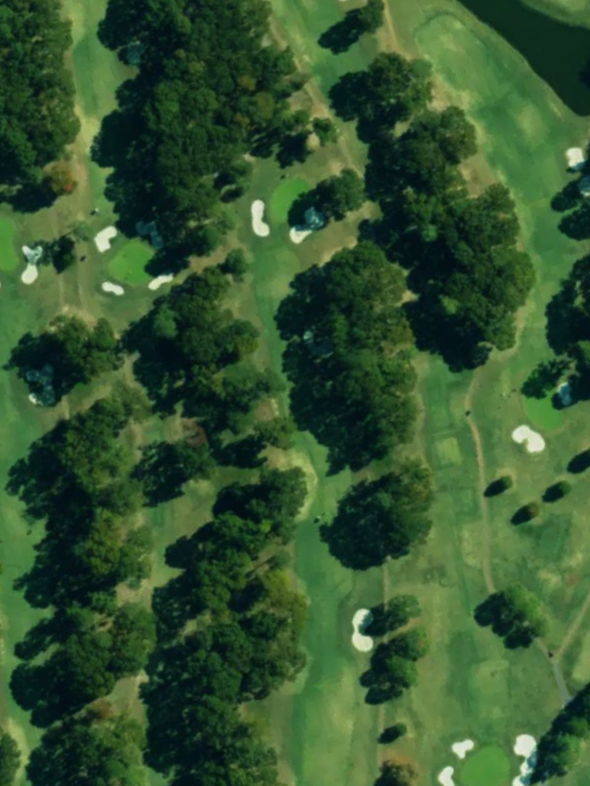 Hole 10 satellite