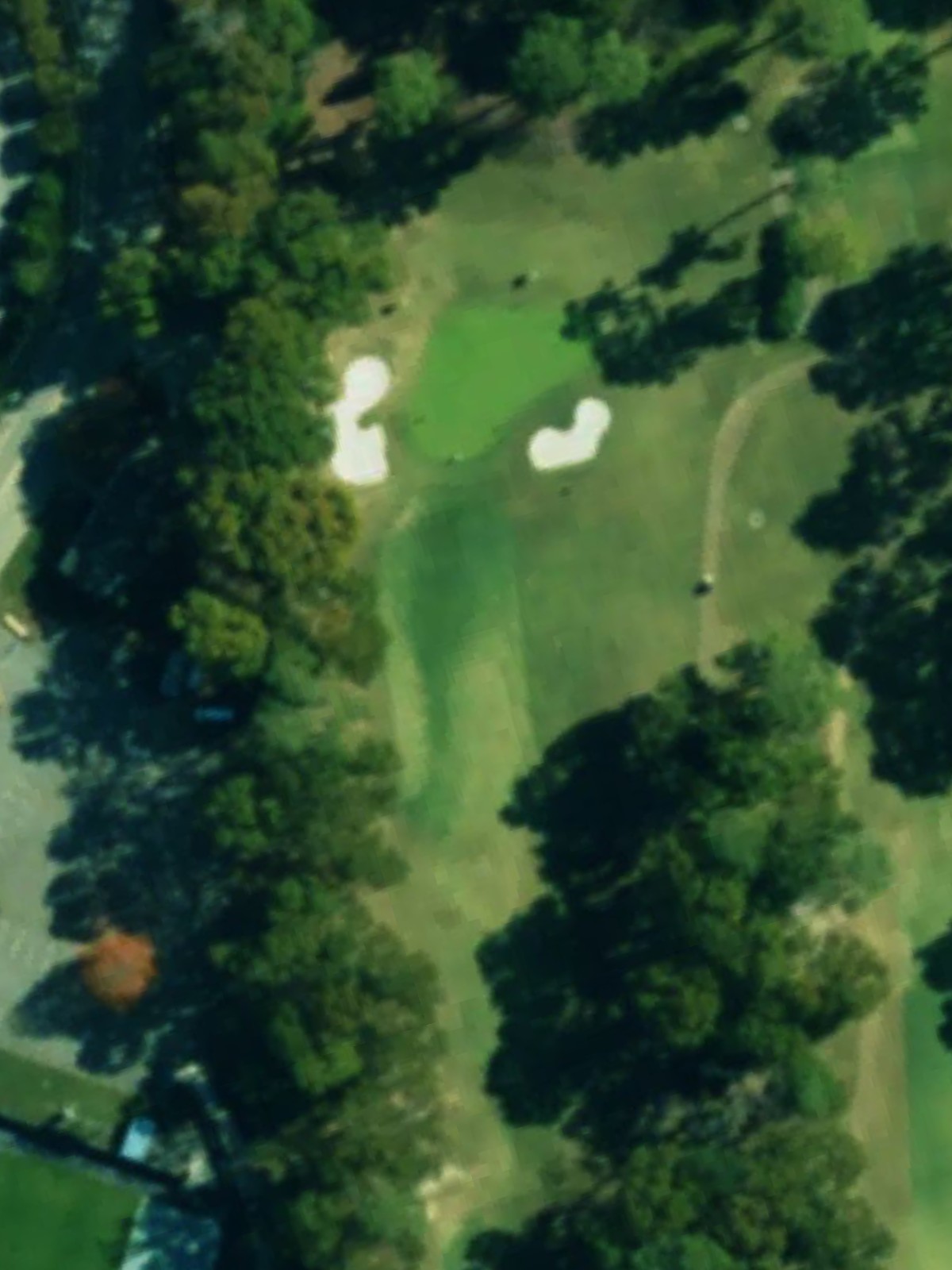 Hole 7 satellite