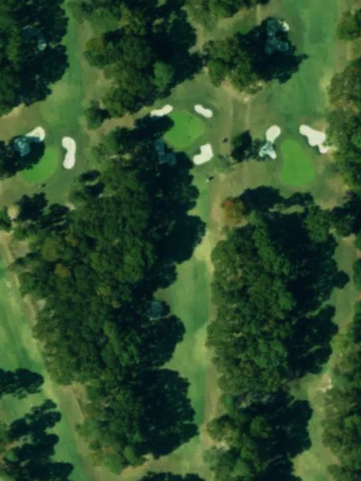 Hole 8 satellite