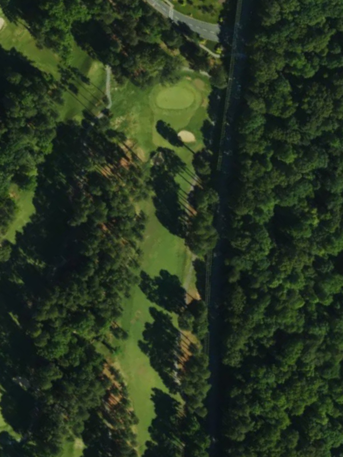 Hole 15 satellite