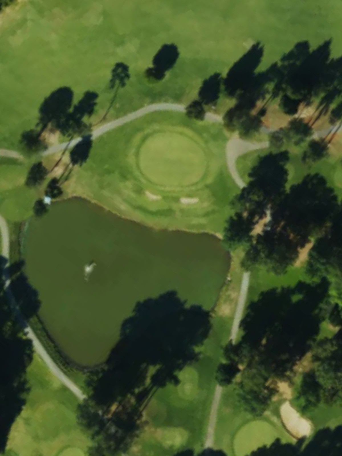 Hole 17 satellite