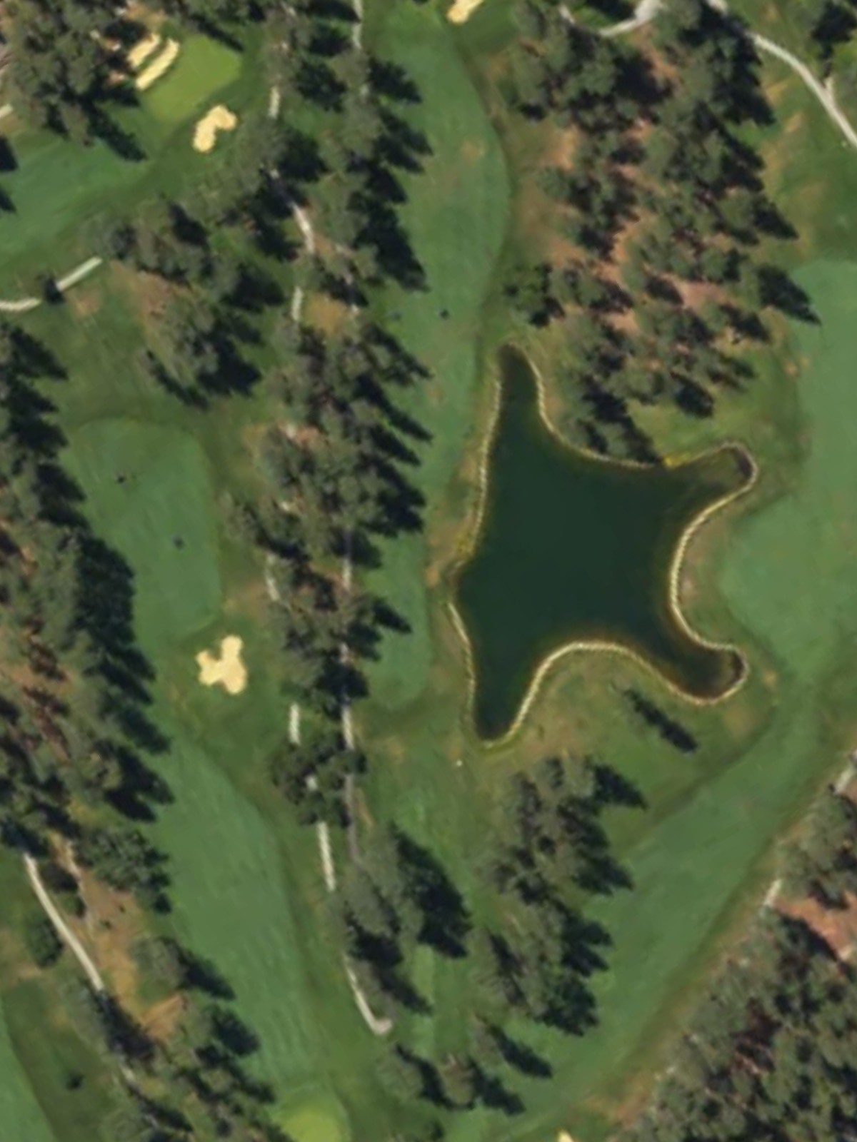 Hole 15 satellite