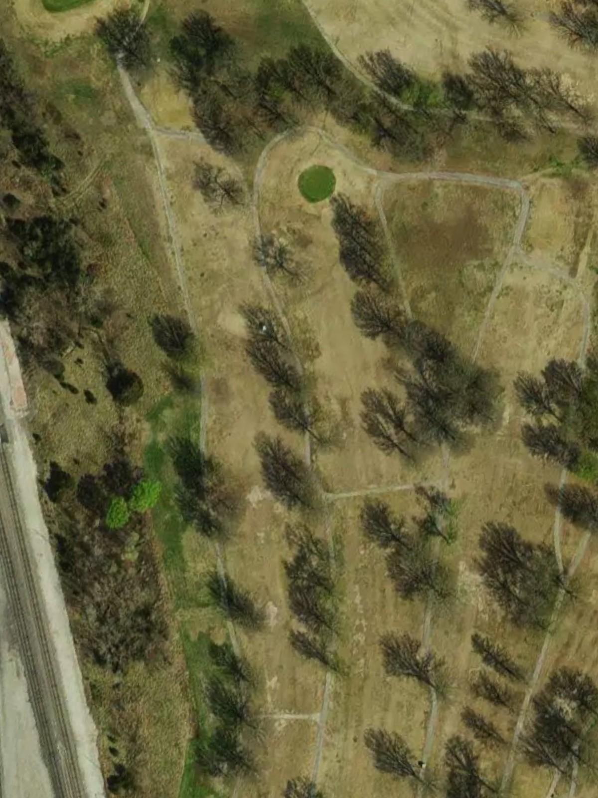 Hole 8 satellite