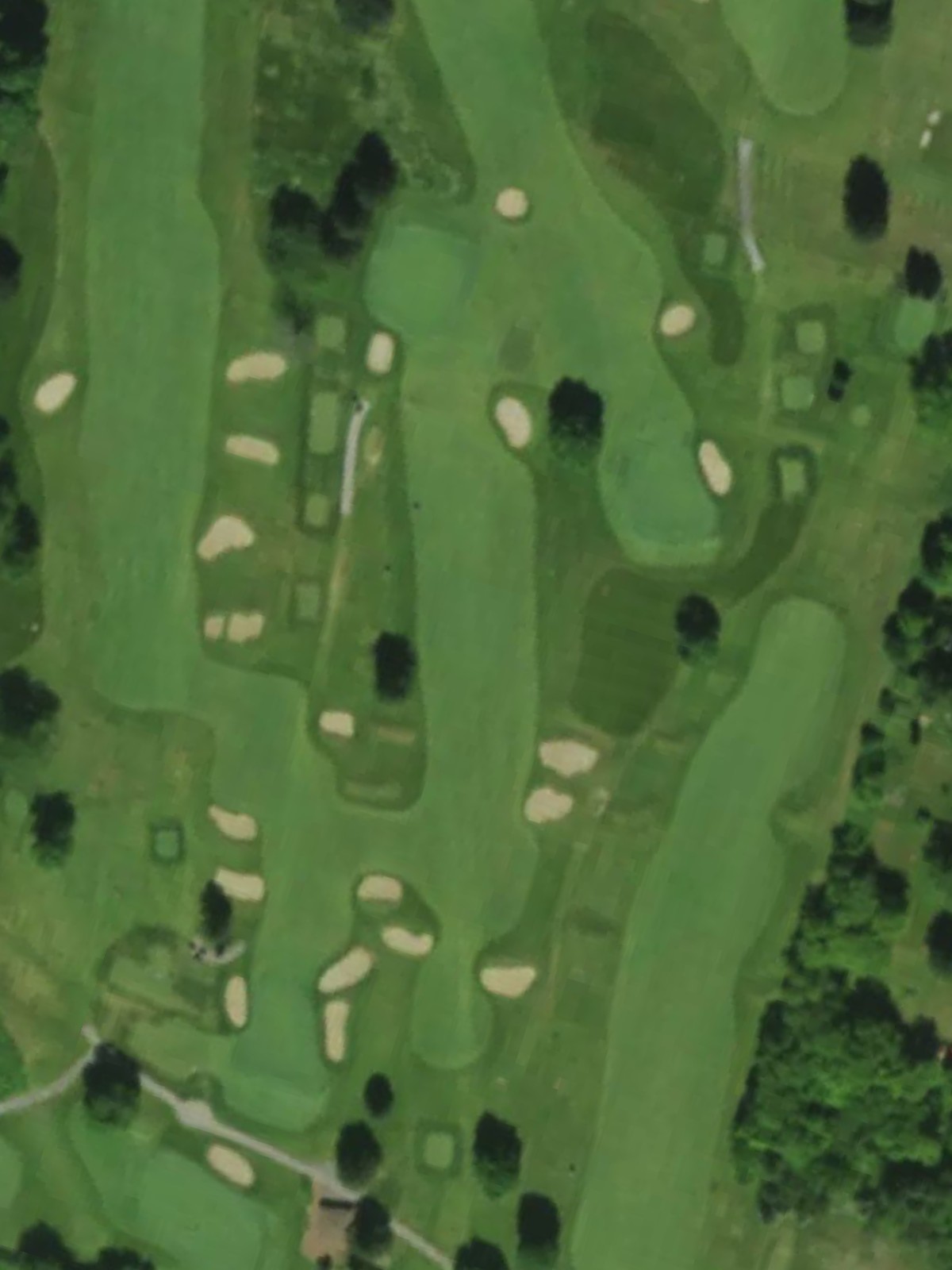 Hole 7 satellite