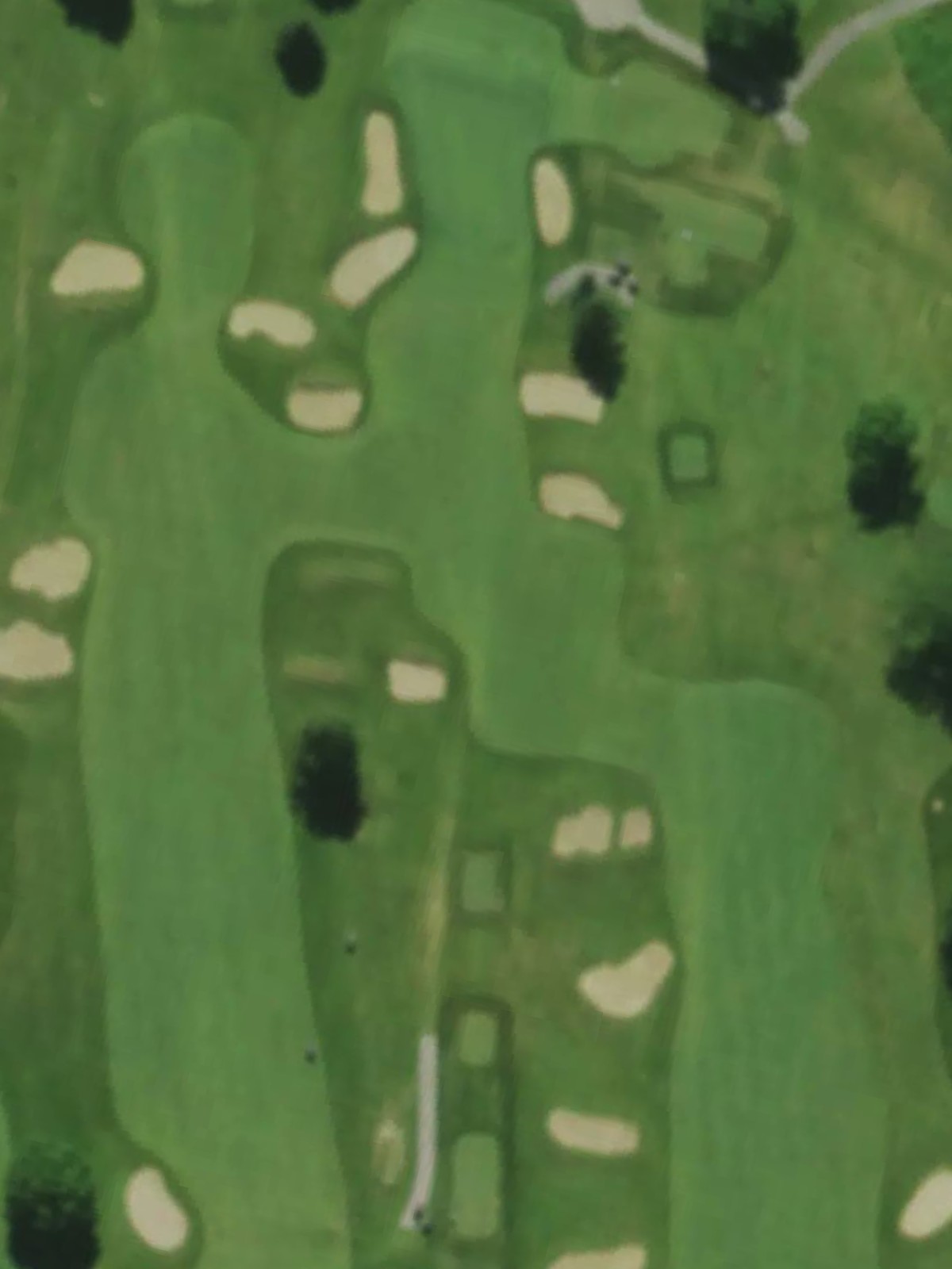 Hole 8 satellite