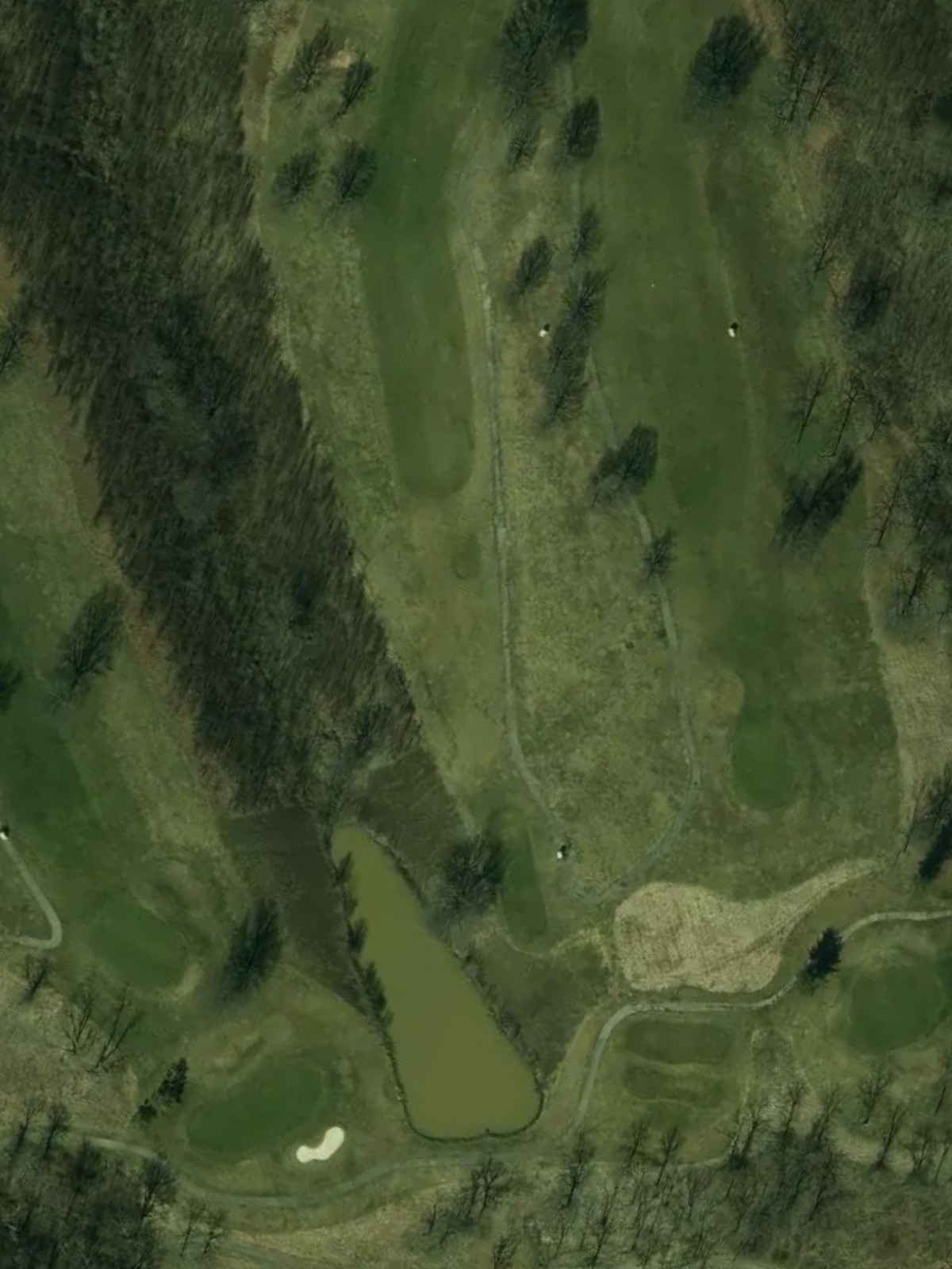 Hole 15 satellite