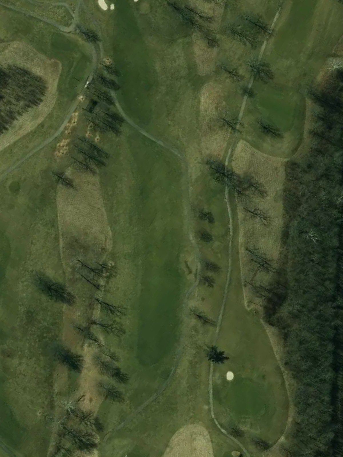 Hole 17 satellite