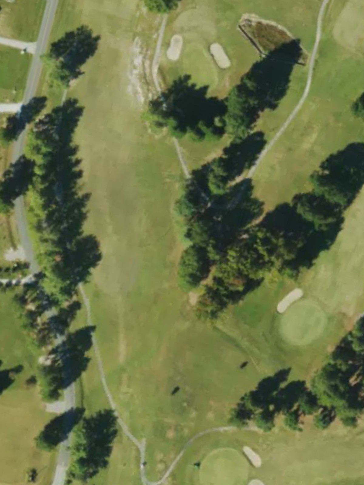 Hole 7 satellite