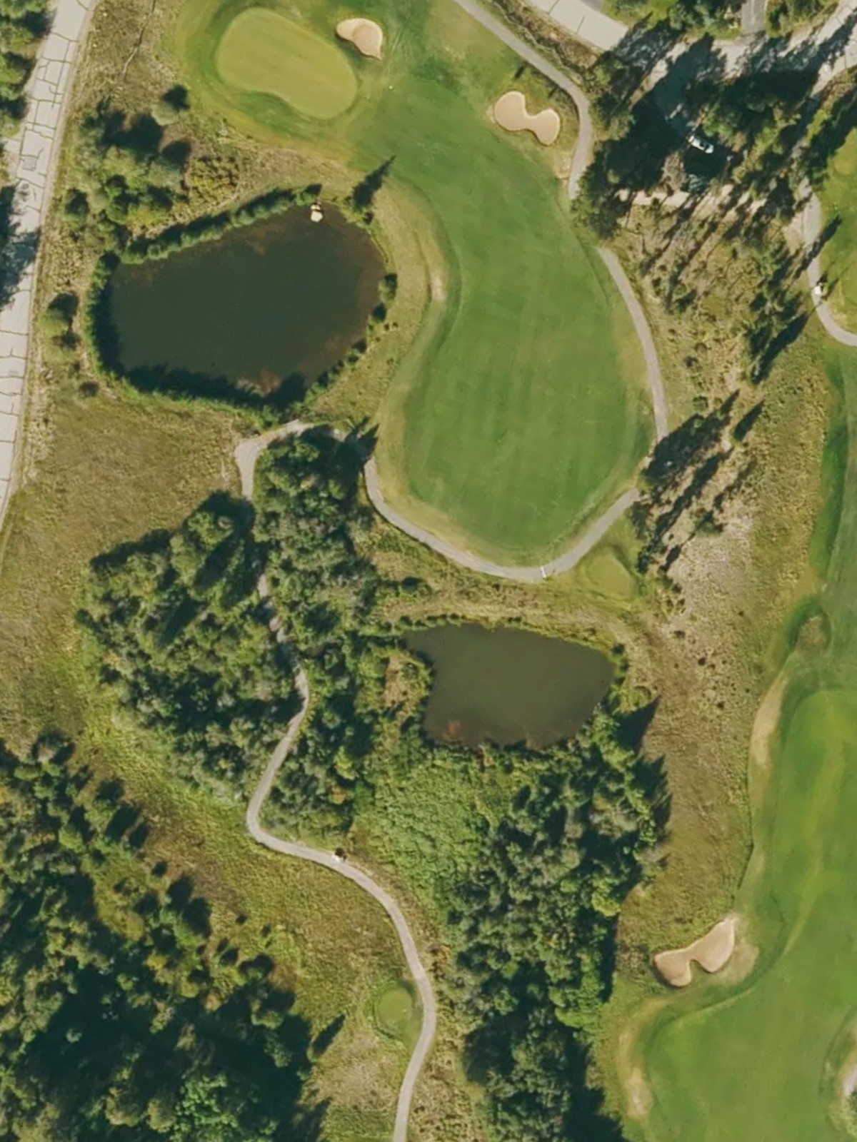 Hole 6 satellite