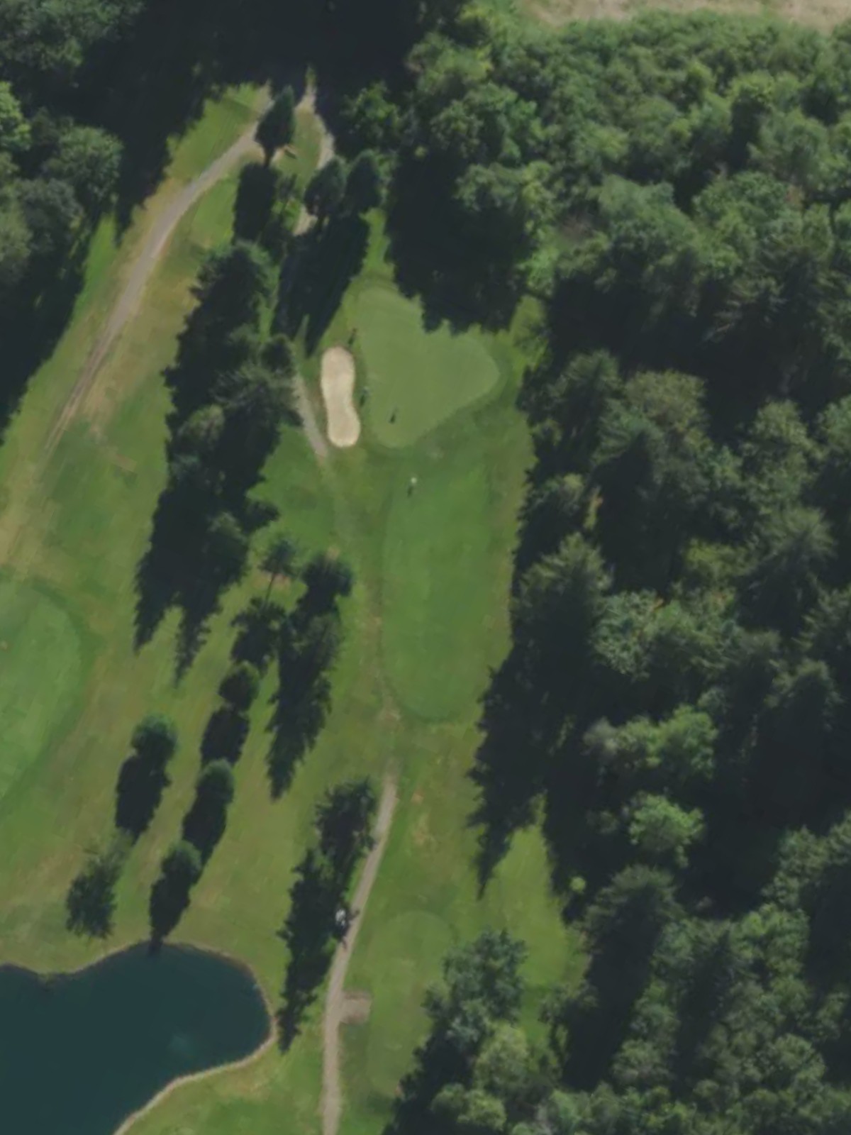 Hole 6 satellite