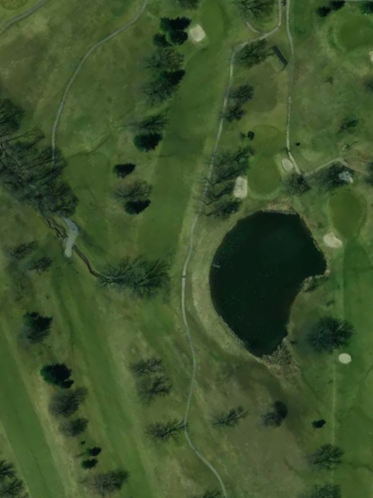 Hole 8 satellite
