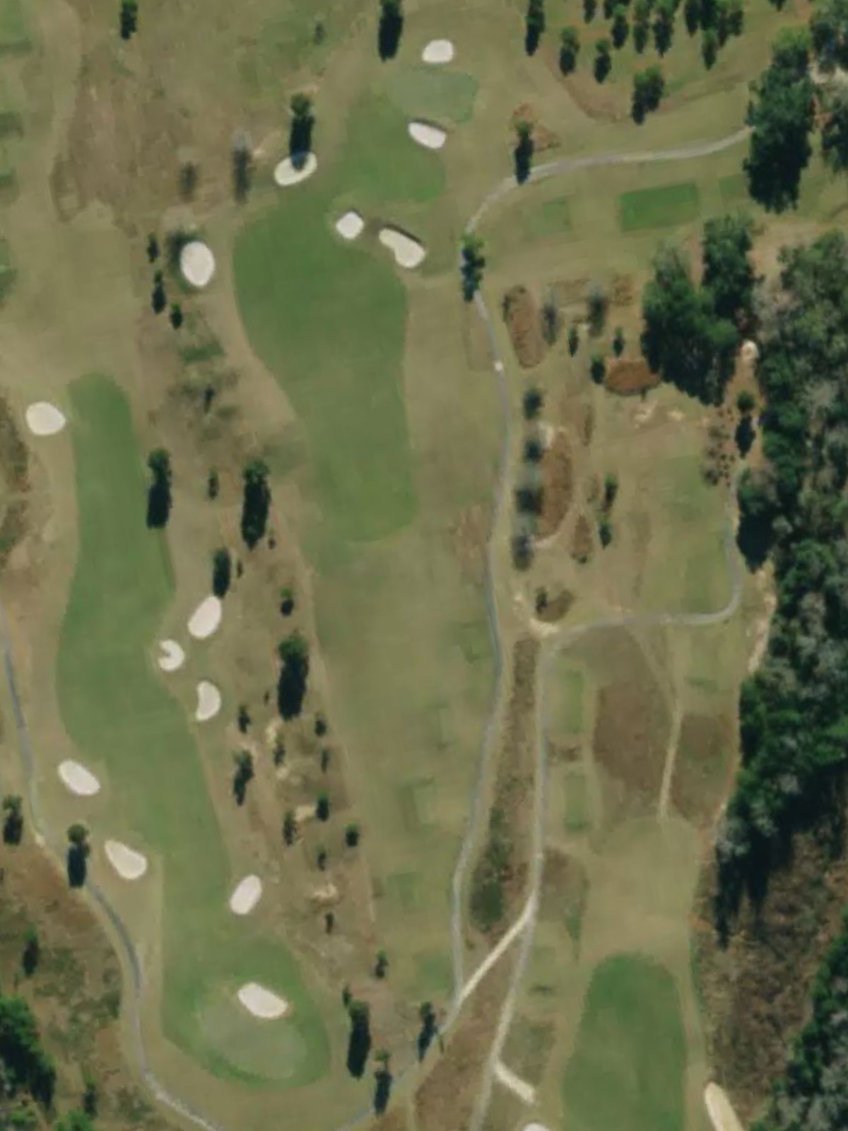 Hole 7 satellite