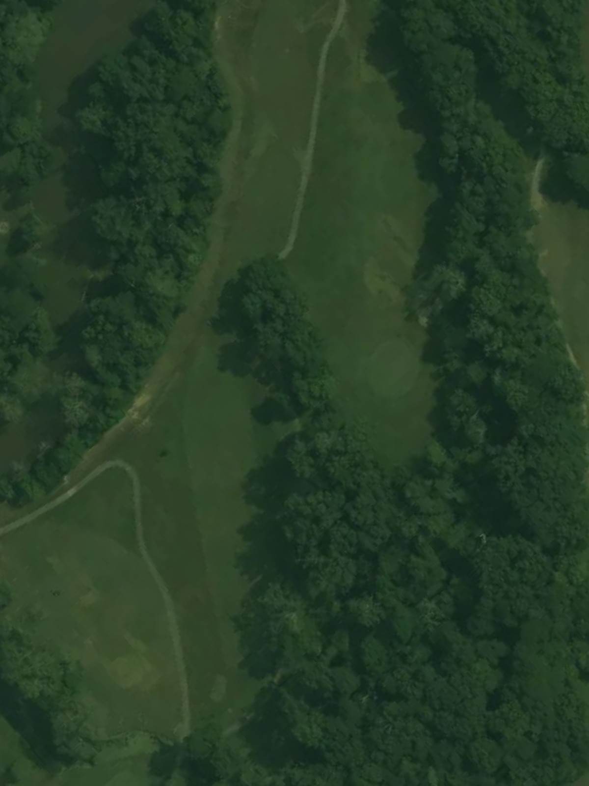 Hole 15 satellite