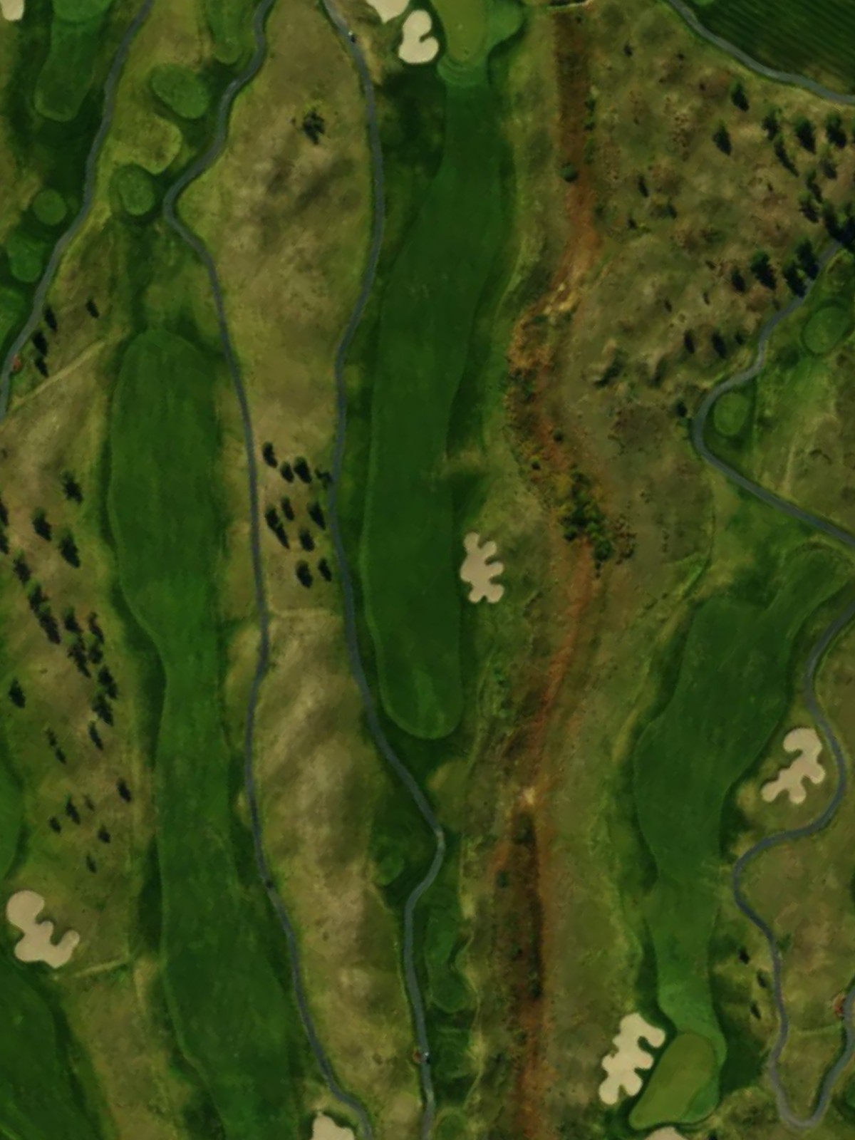 Hole 15 satellite
