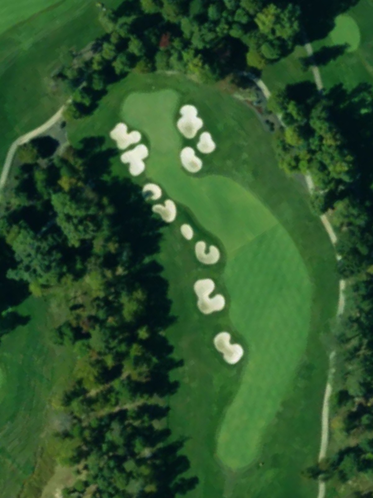 Hole 15 satellite