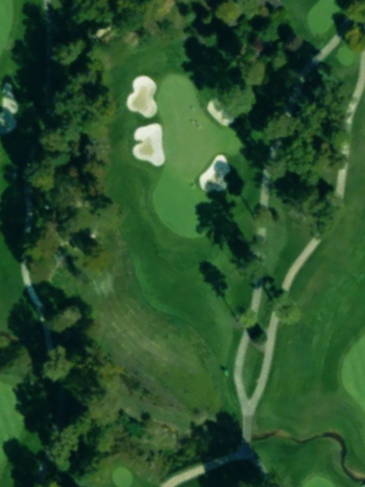 Hole 7 satellite