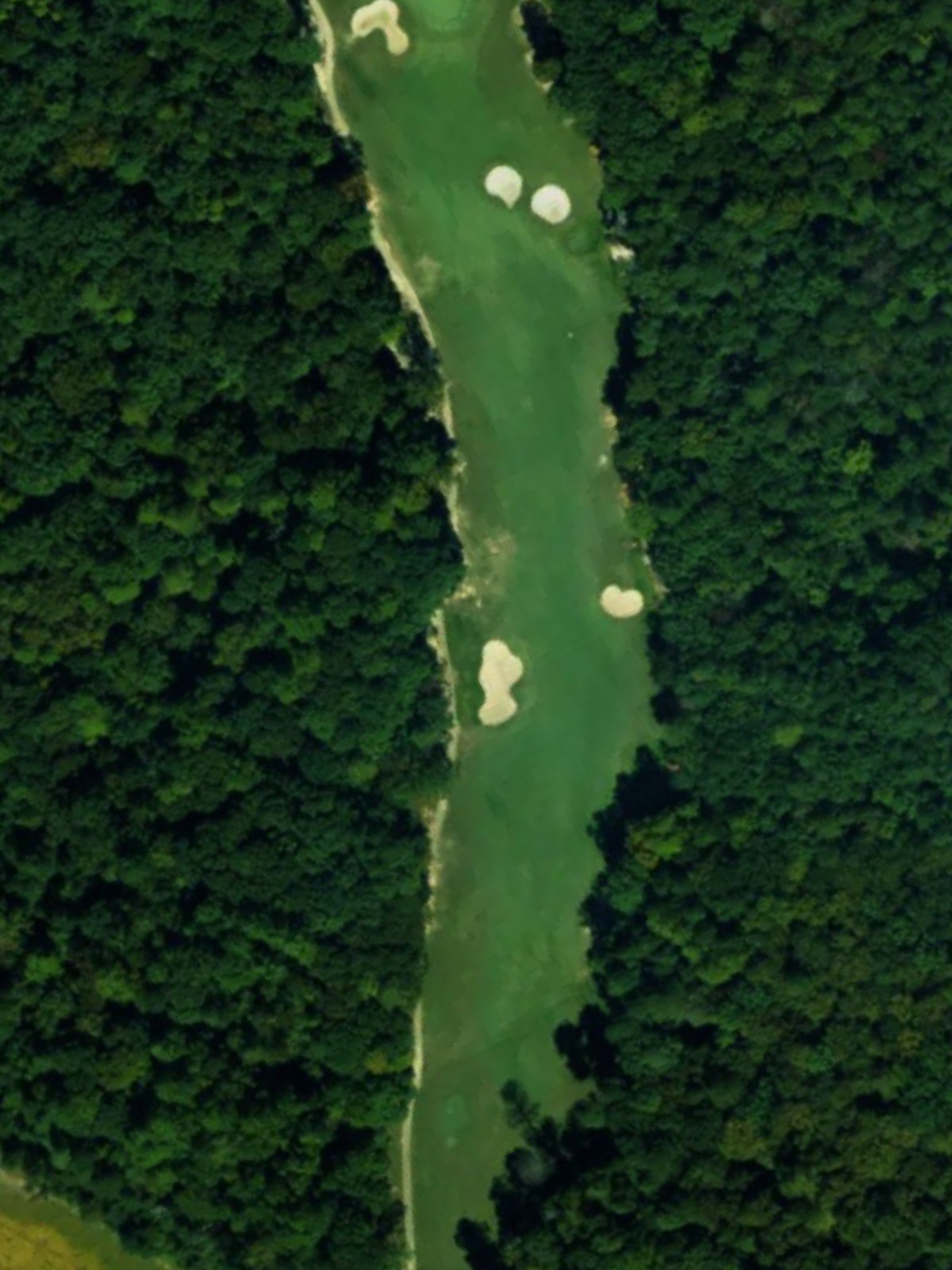 Hole 1 satellite