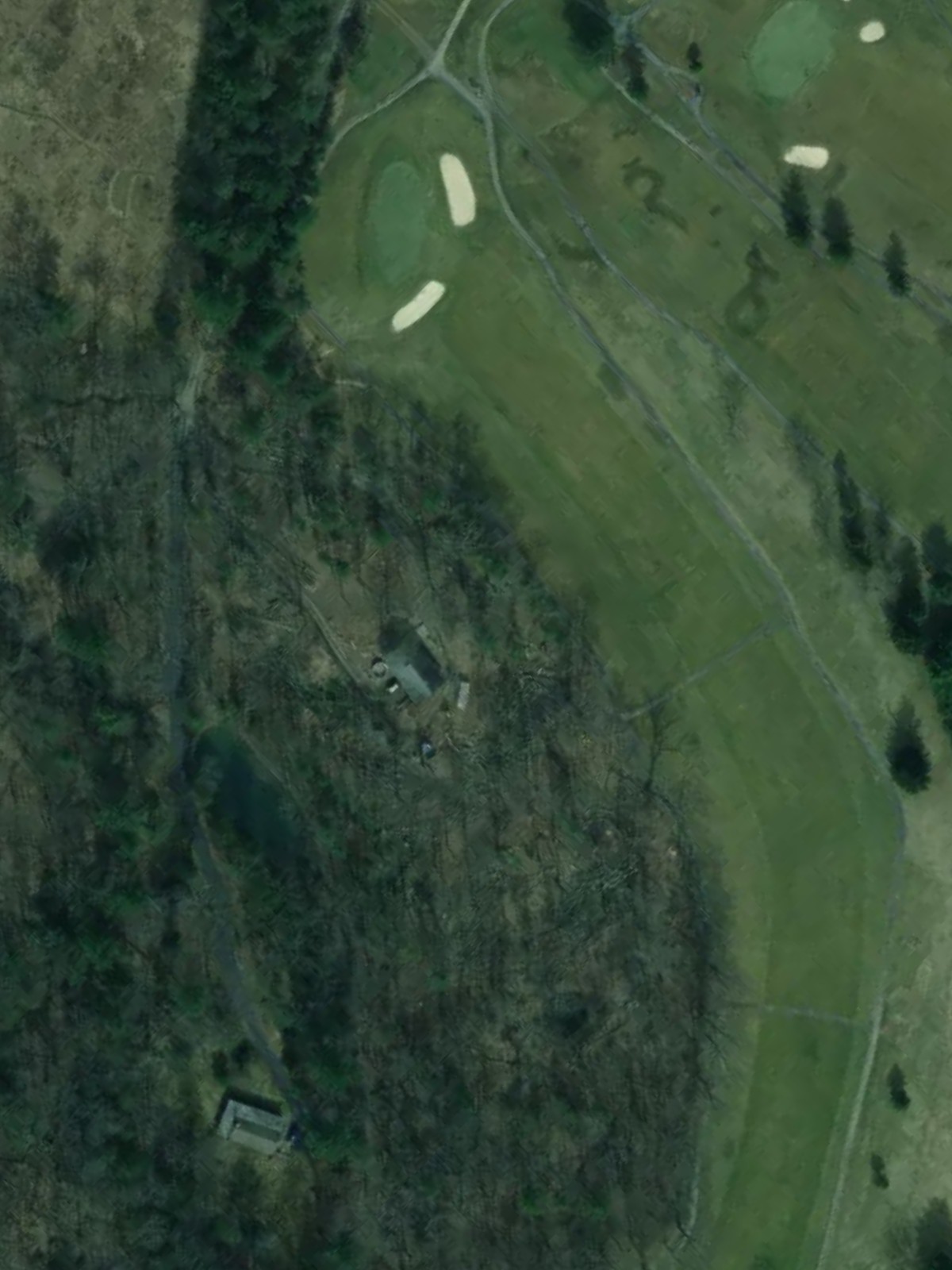 Hole 7 satellite