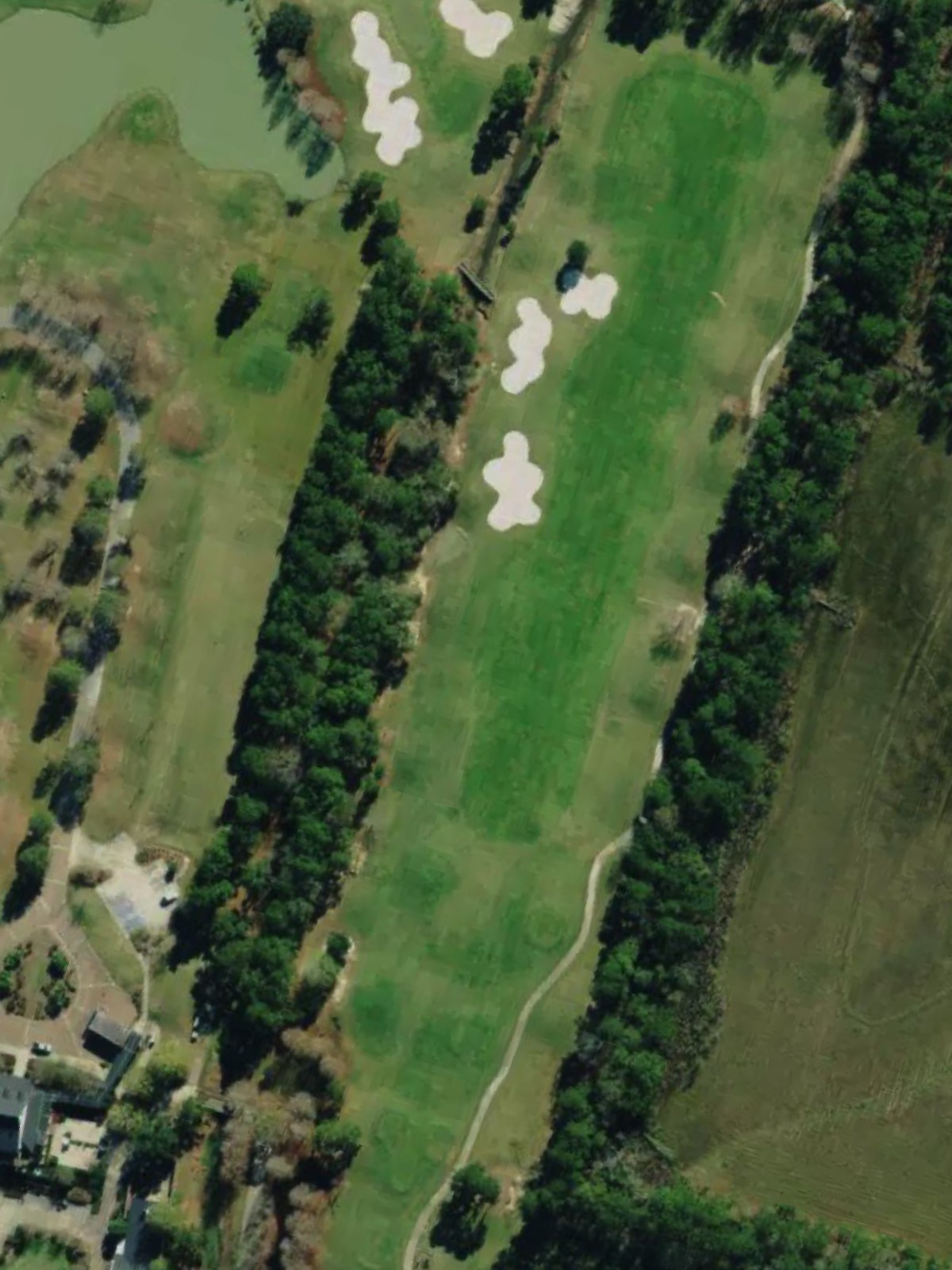 Hole 10 satellite