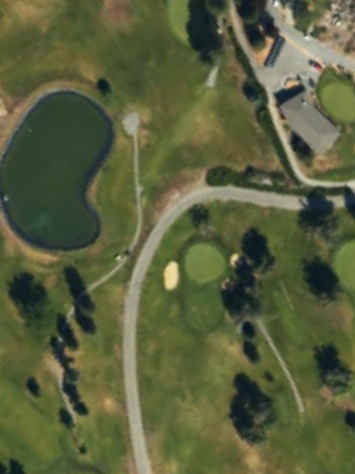 Hole 7 satellite