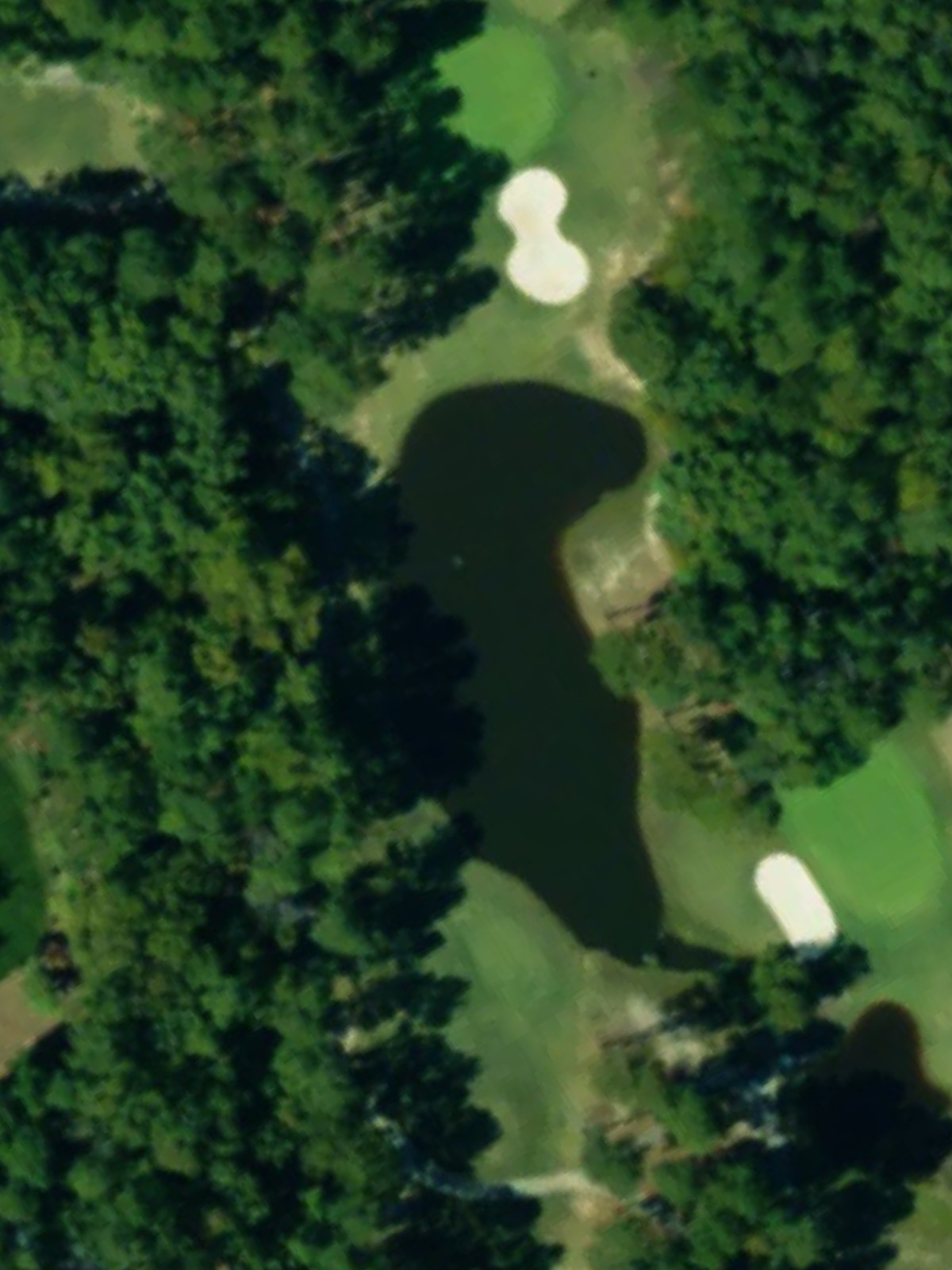 Hole 4 satellite