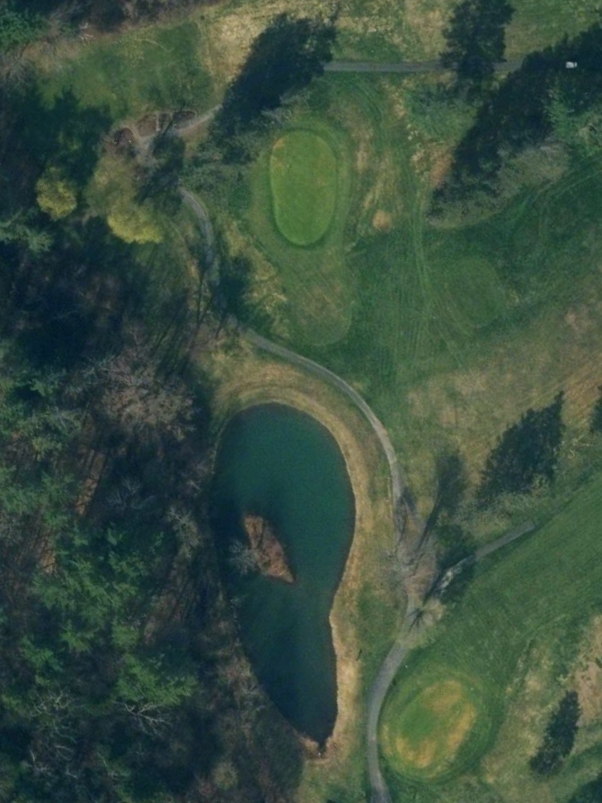 Hole 15 satellite