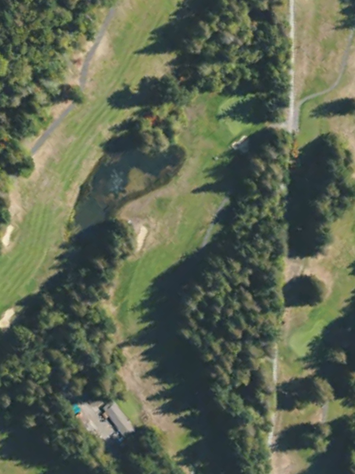 Hole 15 satellite
