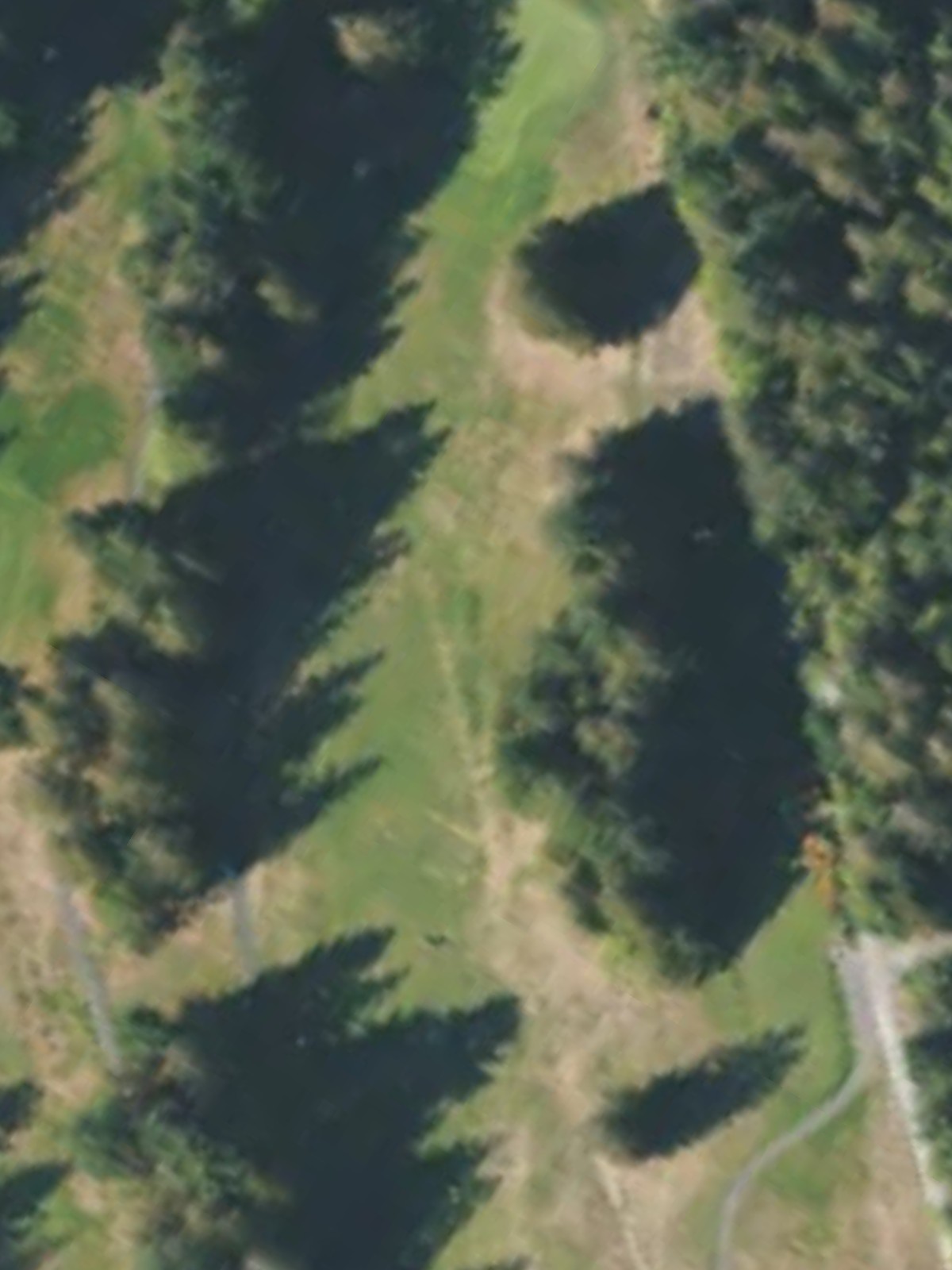 Hole 17 satellite