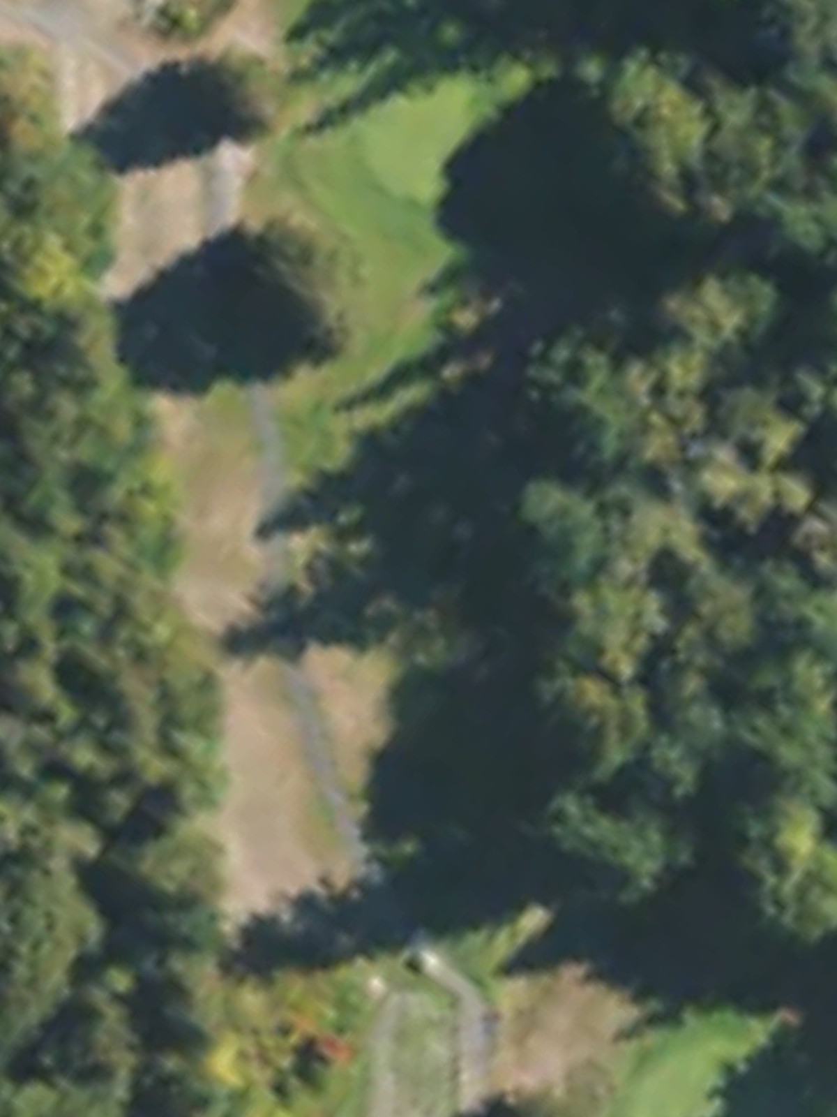 Hole 4 satellite