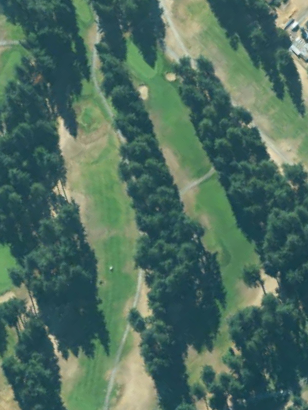 Hole 12 satellite