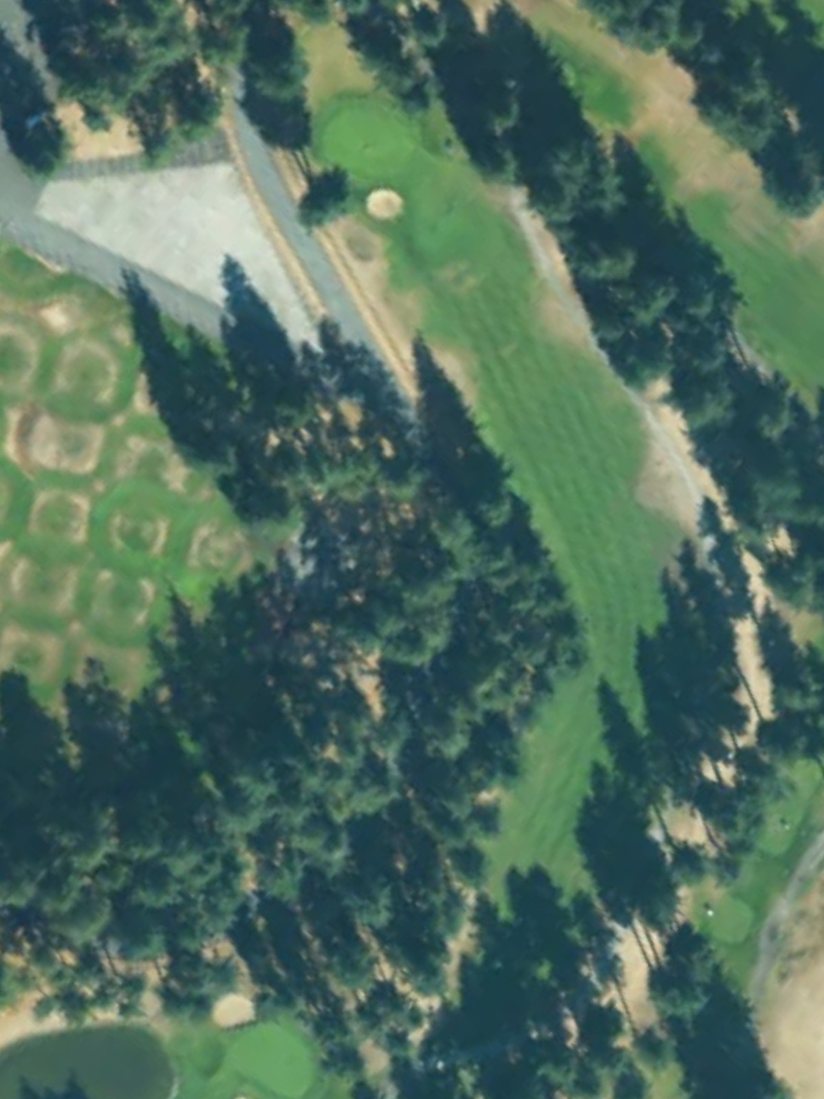 Hole 15 satellite