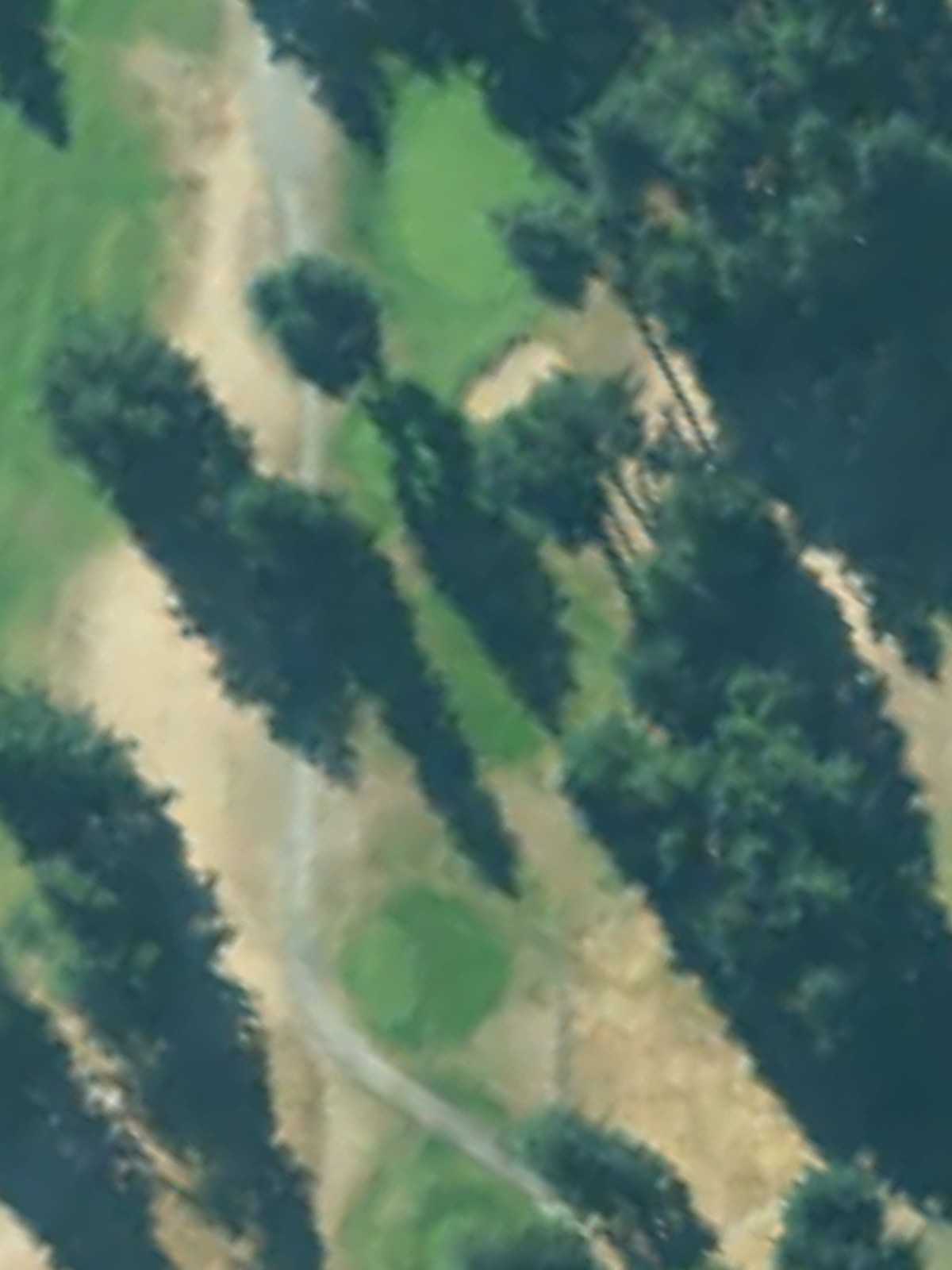 Hole 17 satellite