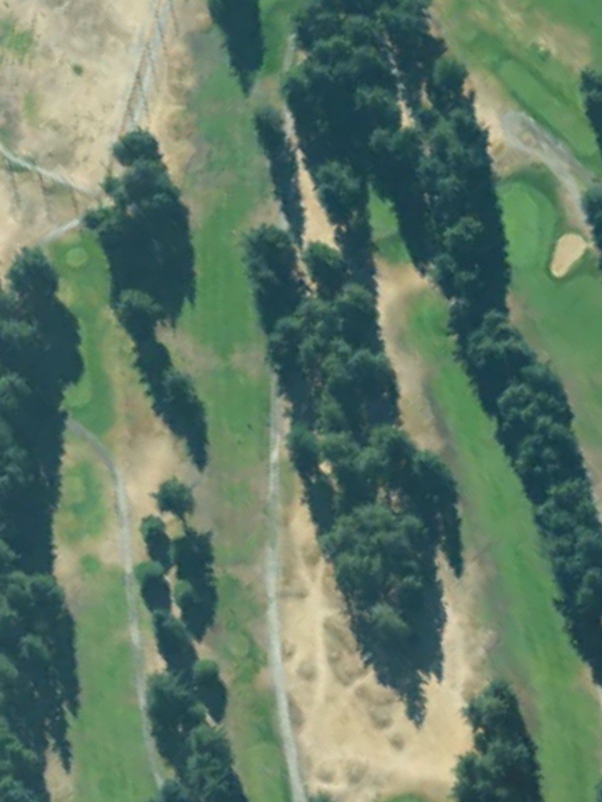 Hole 4 satellite