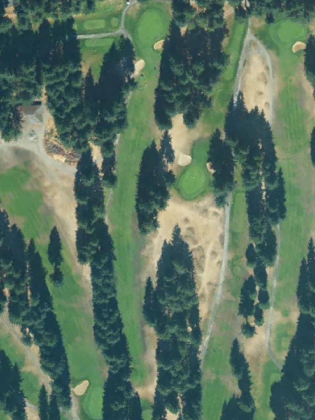 Hole 5 satellite