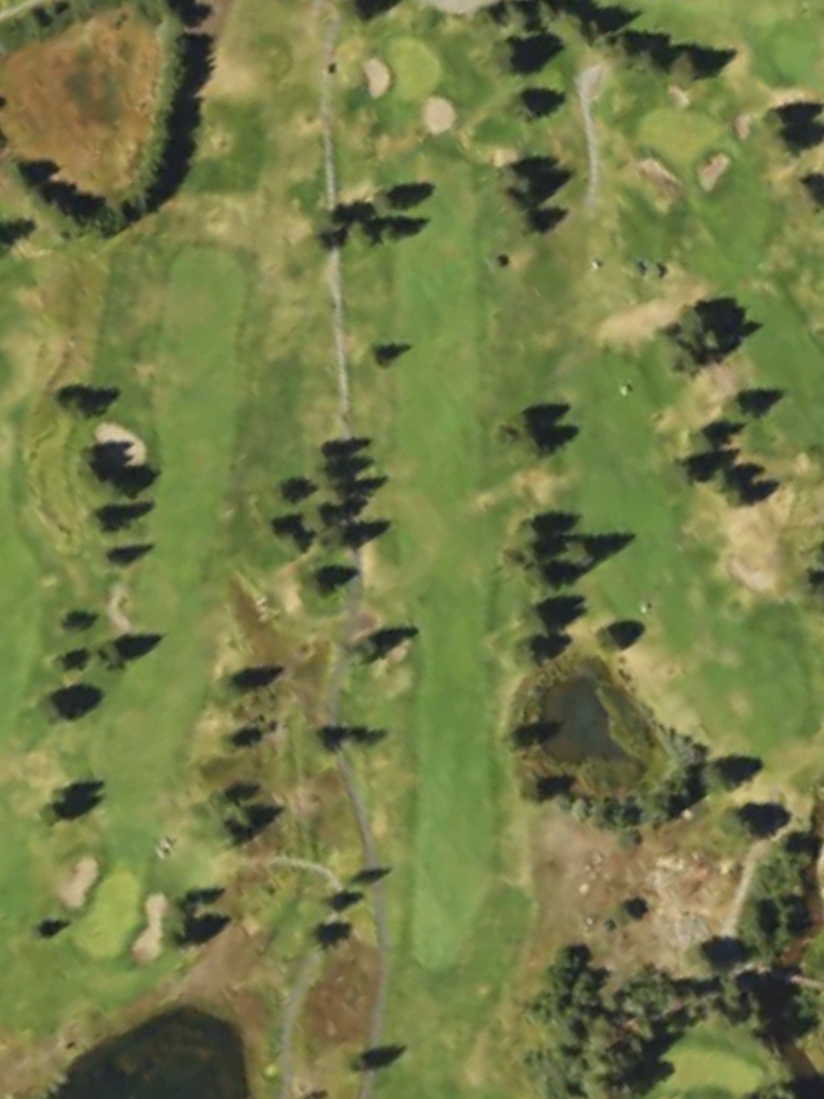 Hole 13 satellite