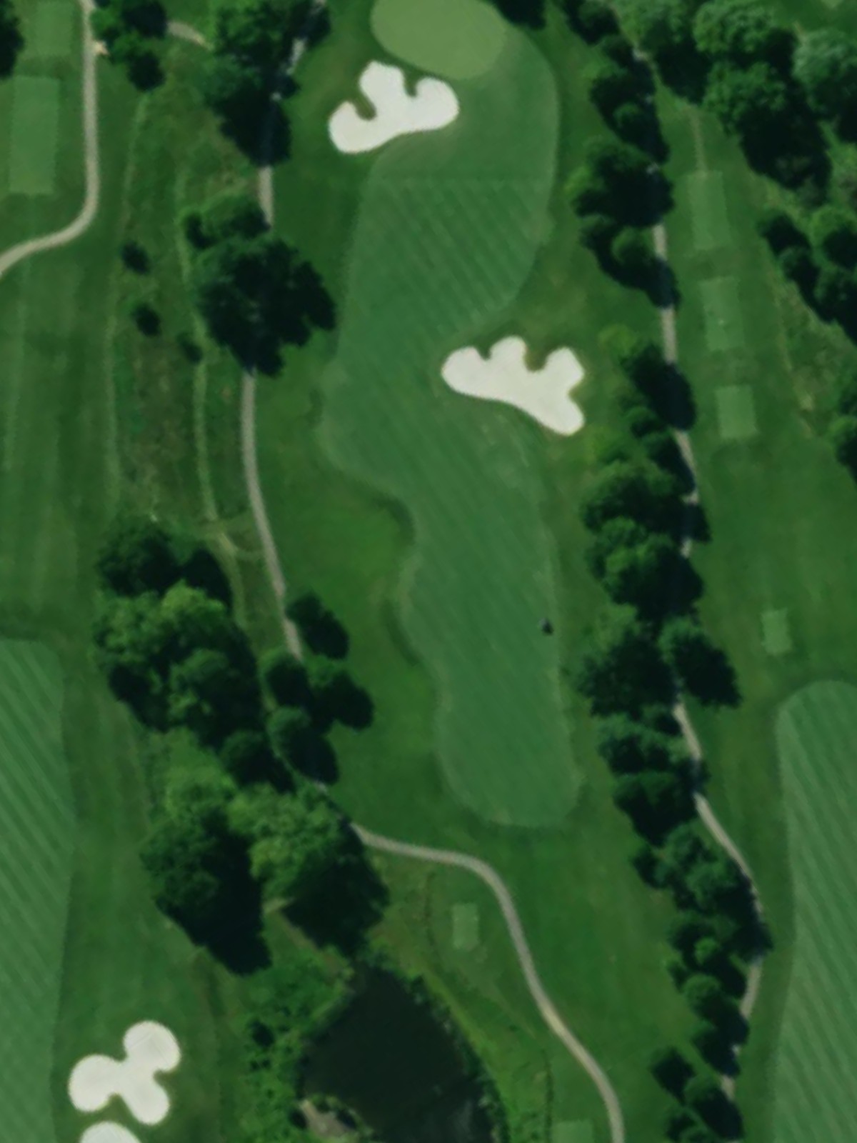 Hole 15 satellite