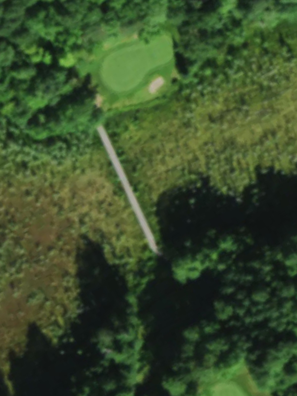 Hole 7 satellite