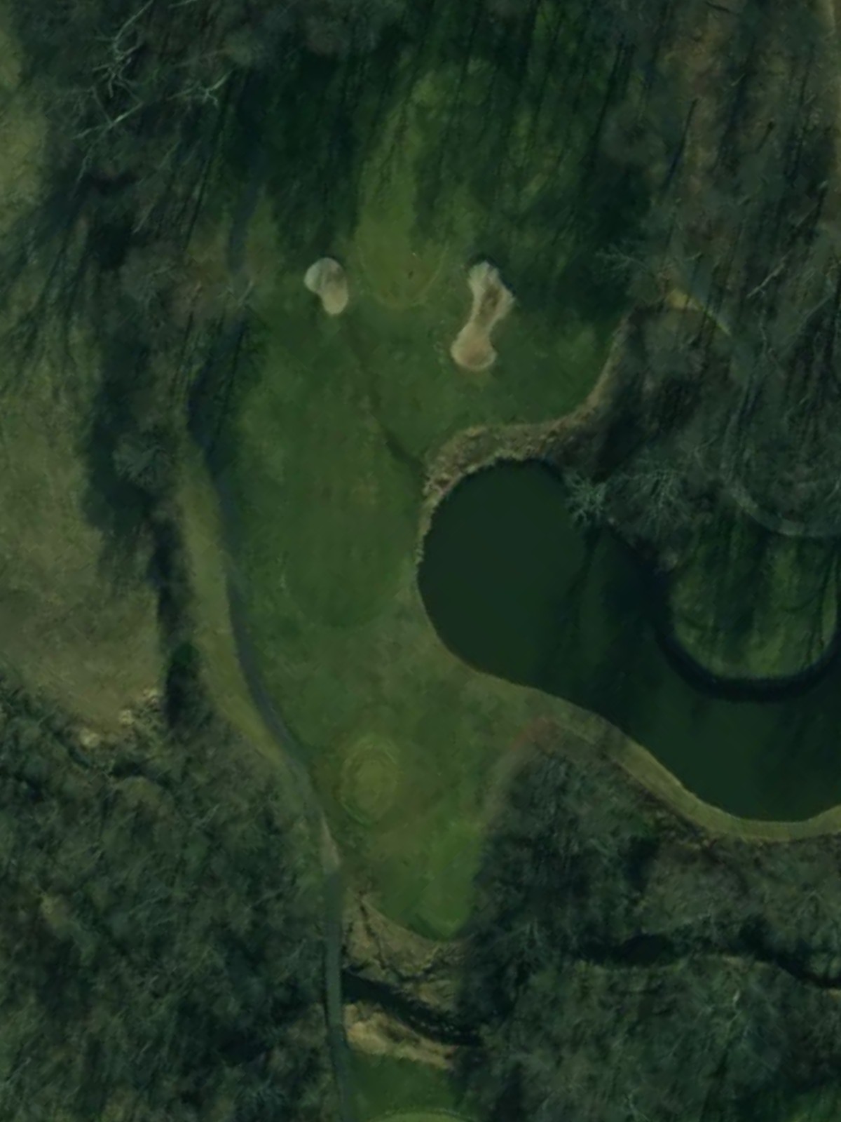 Hole 11 satellite