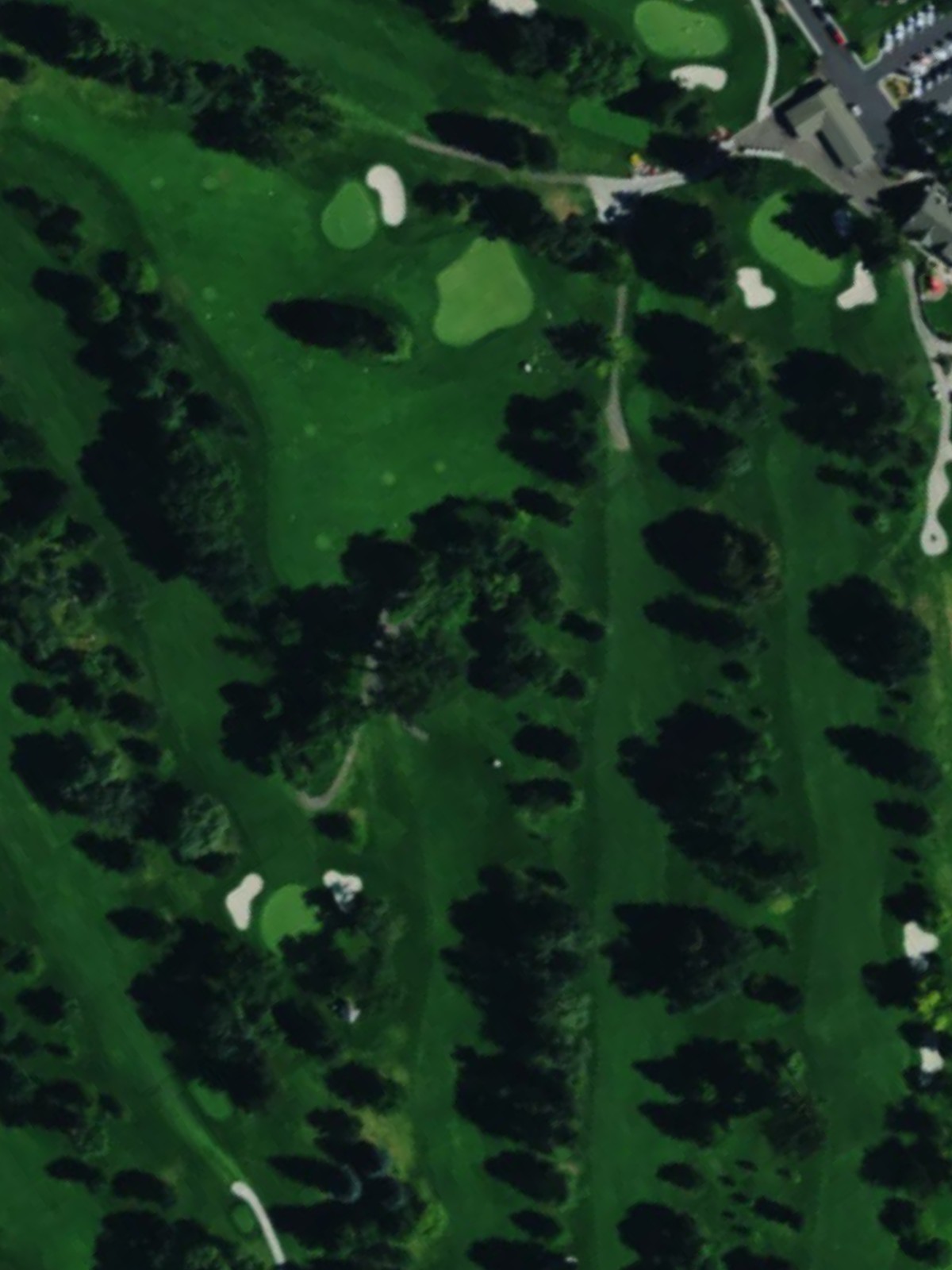 Hole 10 satellite