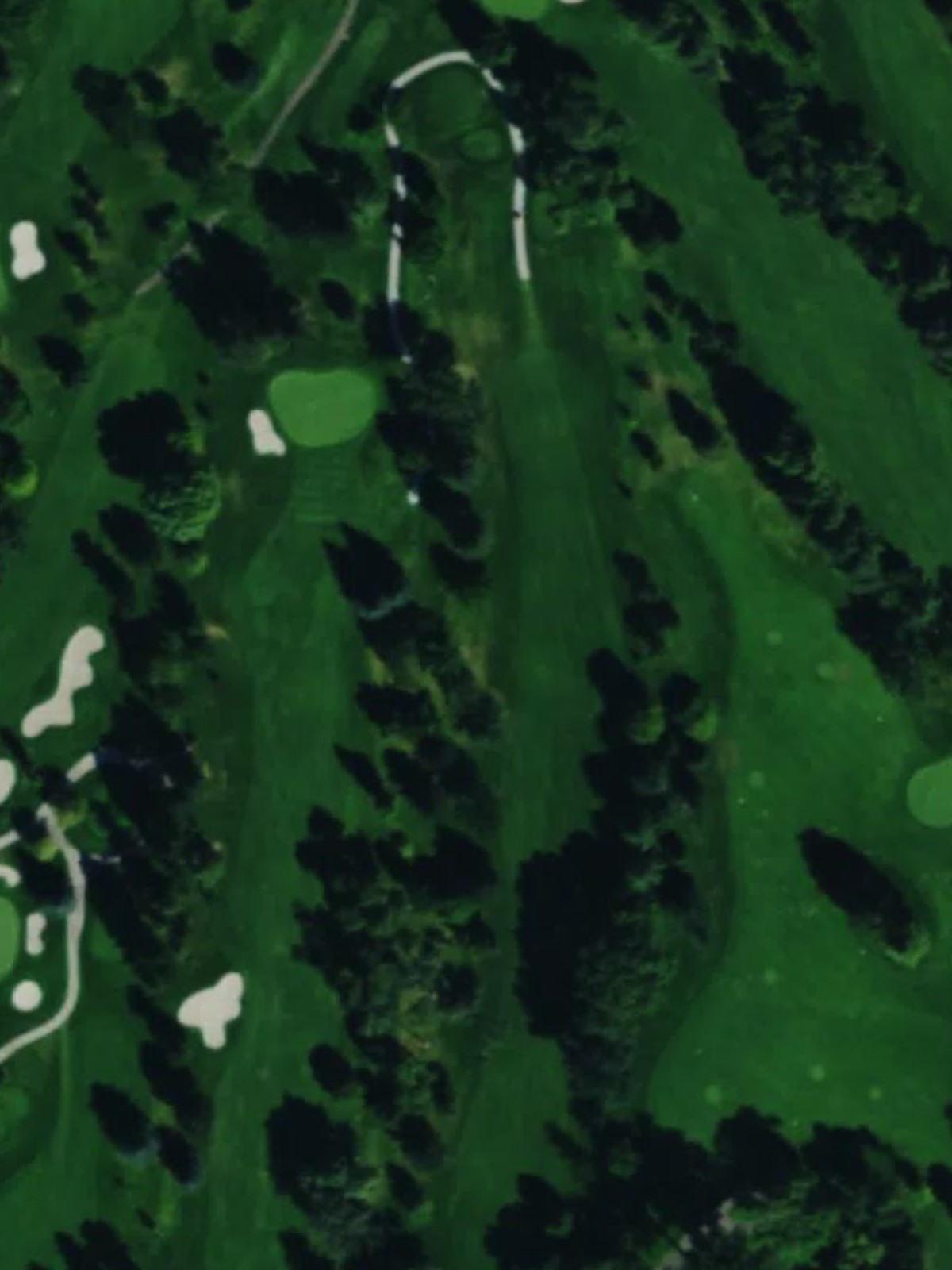 Hole 15 satellite