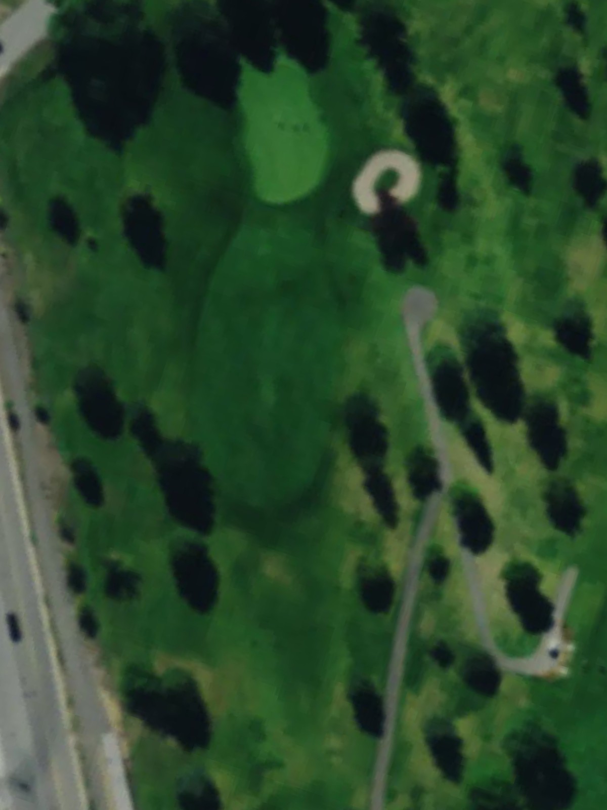 Hole 7 satellite