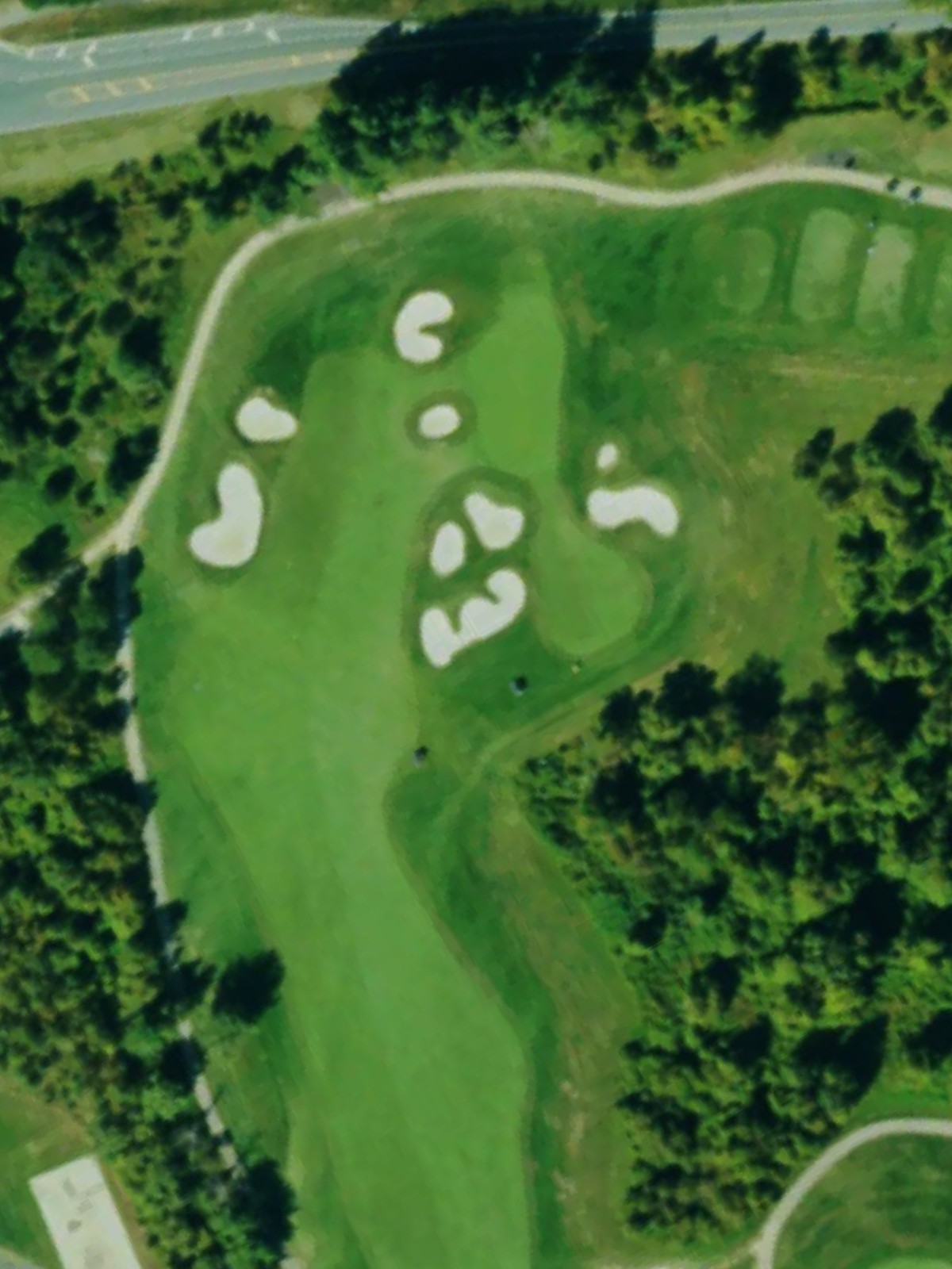 Hole 7 satellite