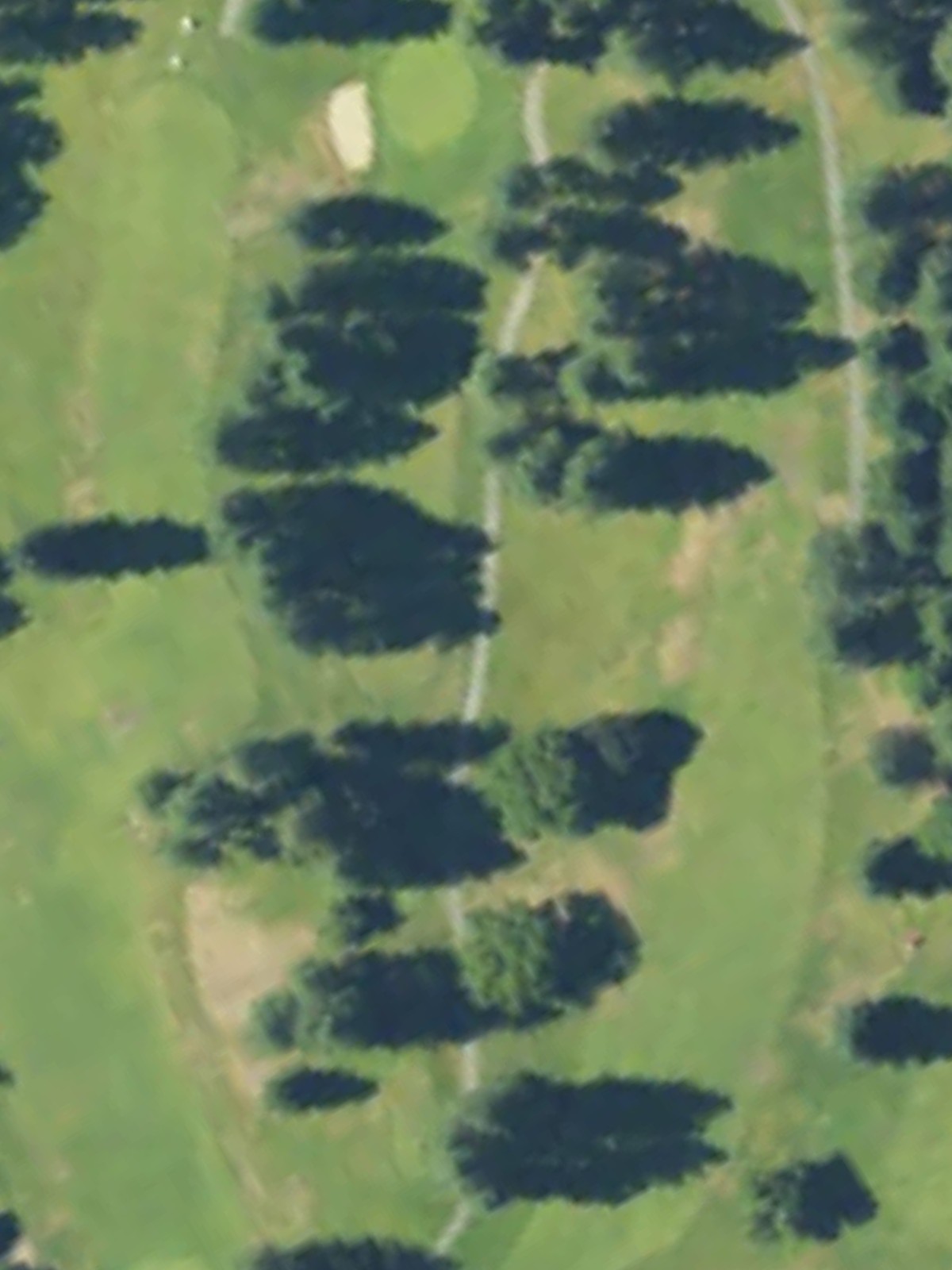 Hole 12 satellite
