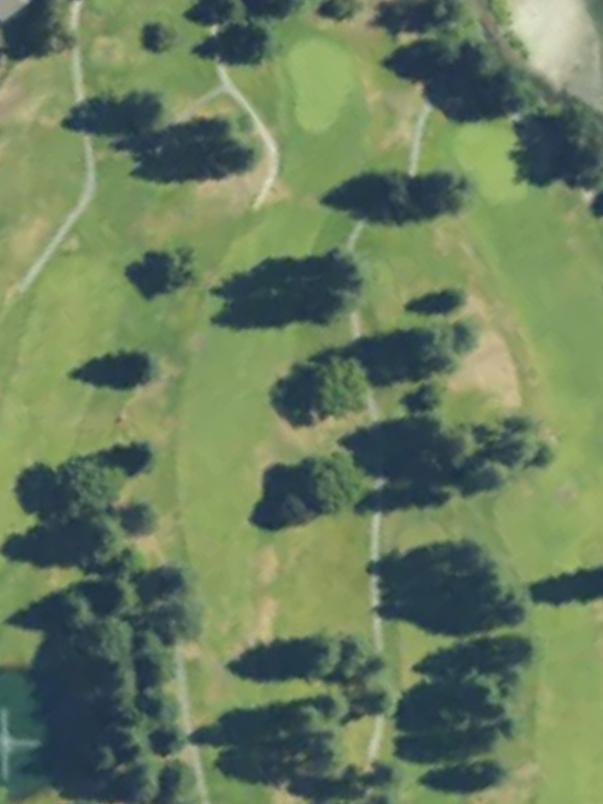 Hole 13 satellite