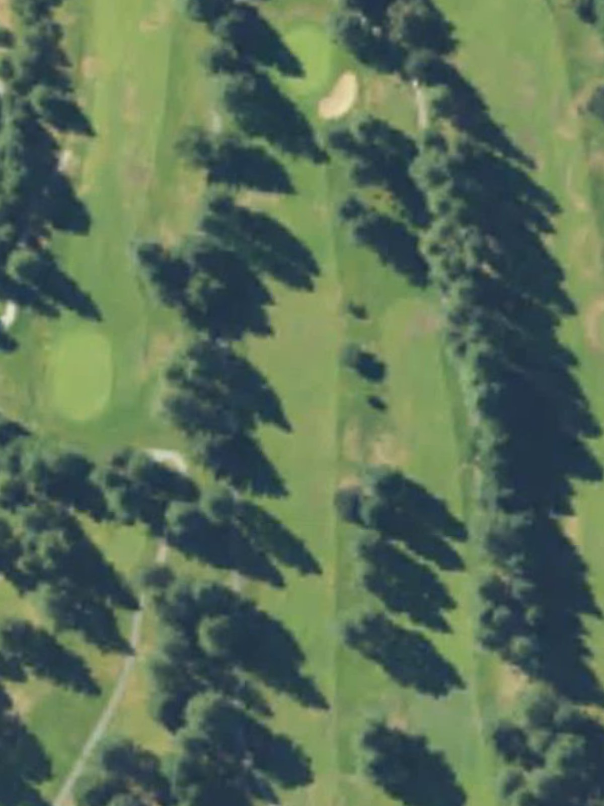 Hole 15 satellite