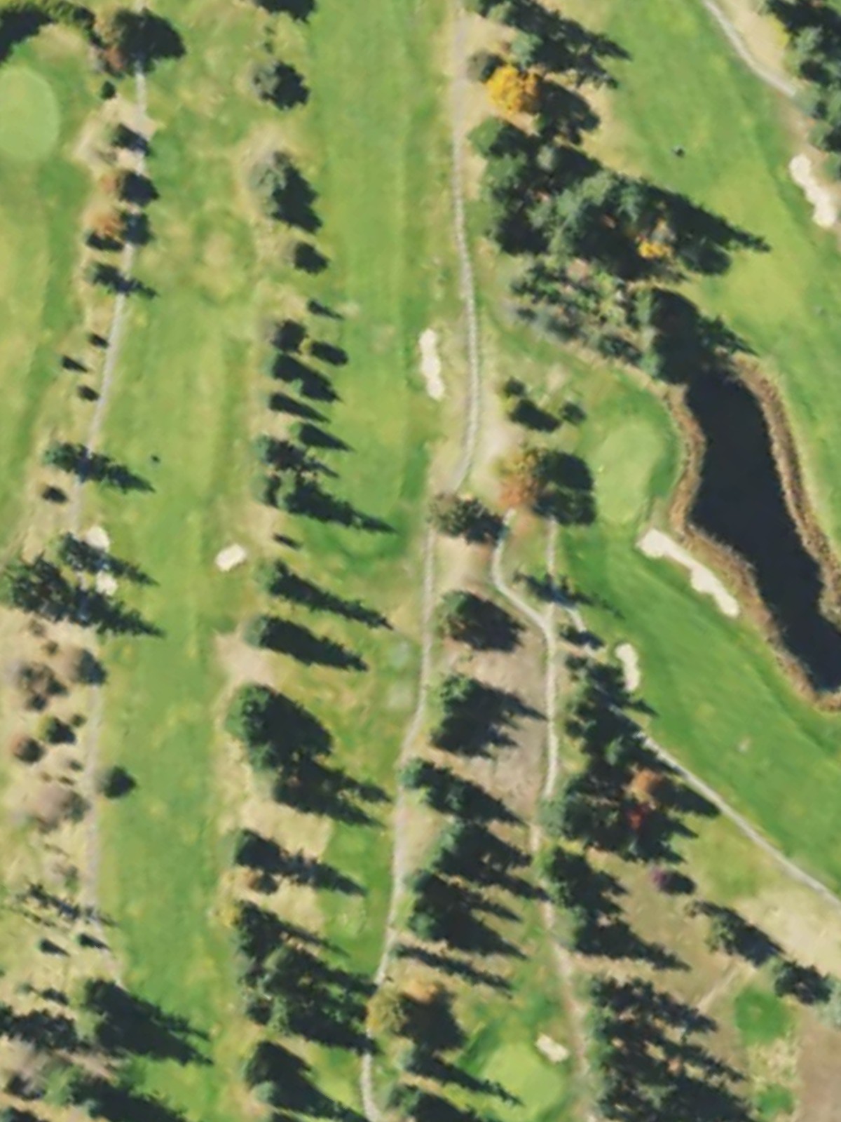 Hole 10 satellite