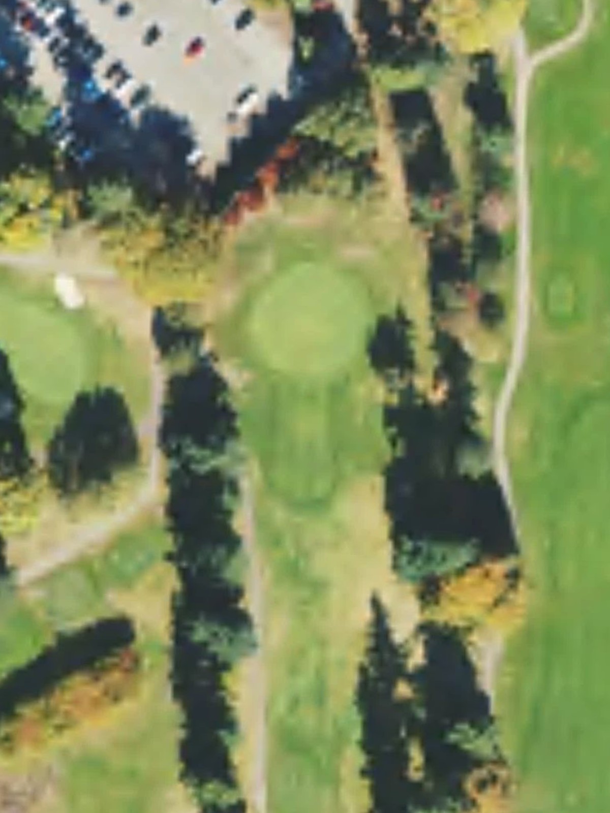 Hole 4 satellite