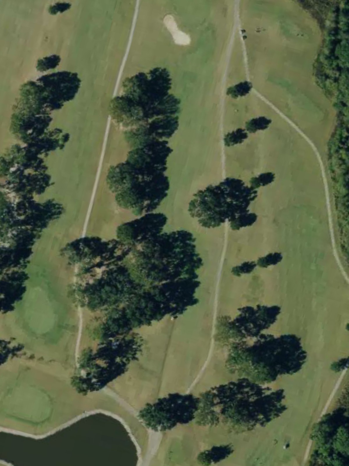 Hole 1 satellite